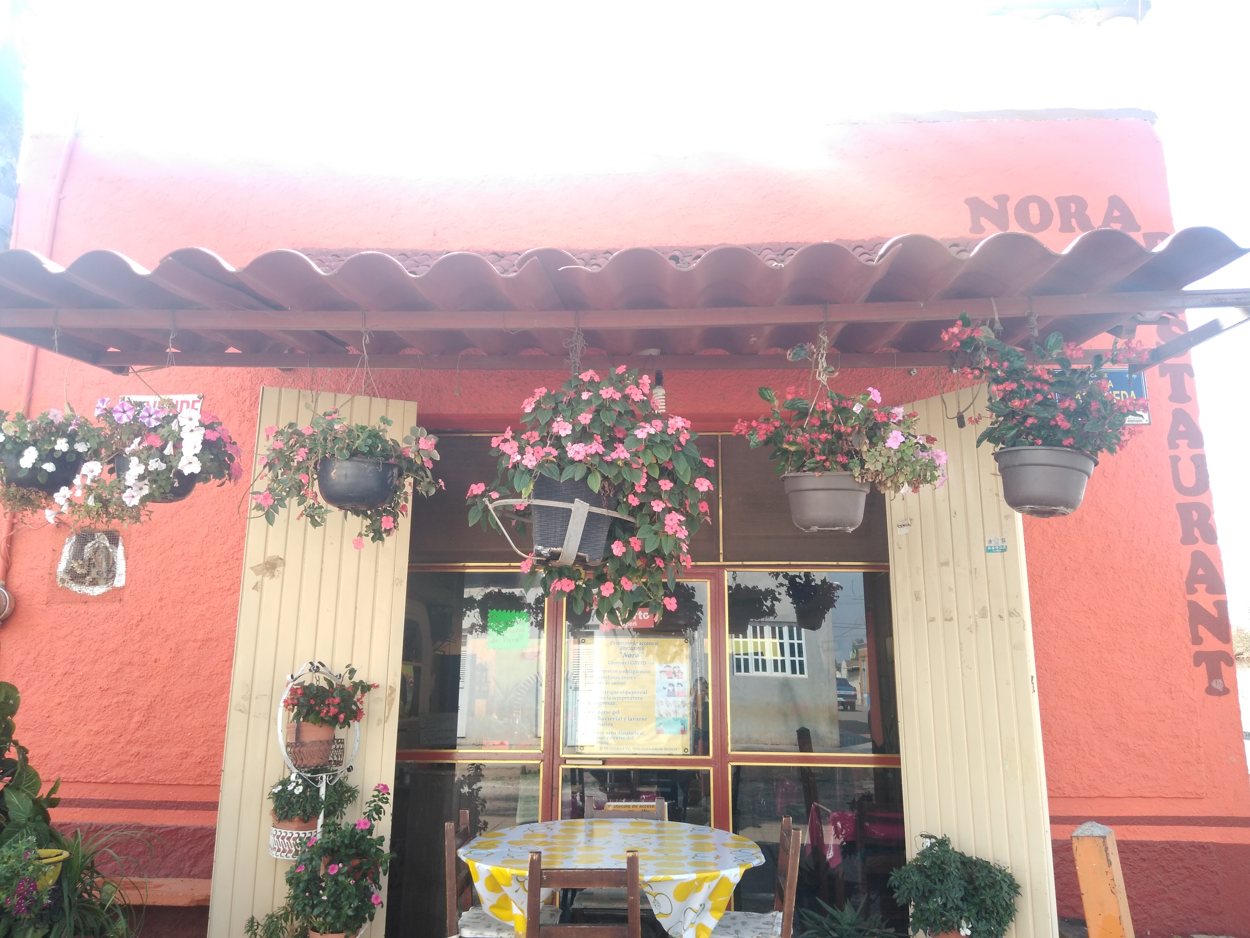 Restaurants Nora image 8