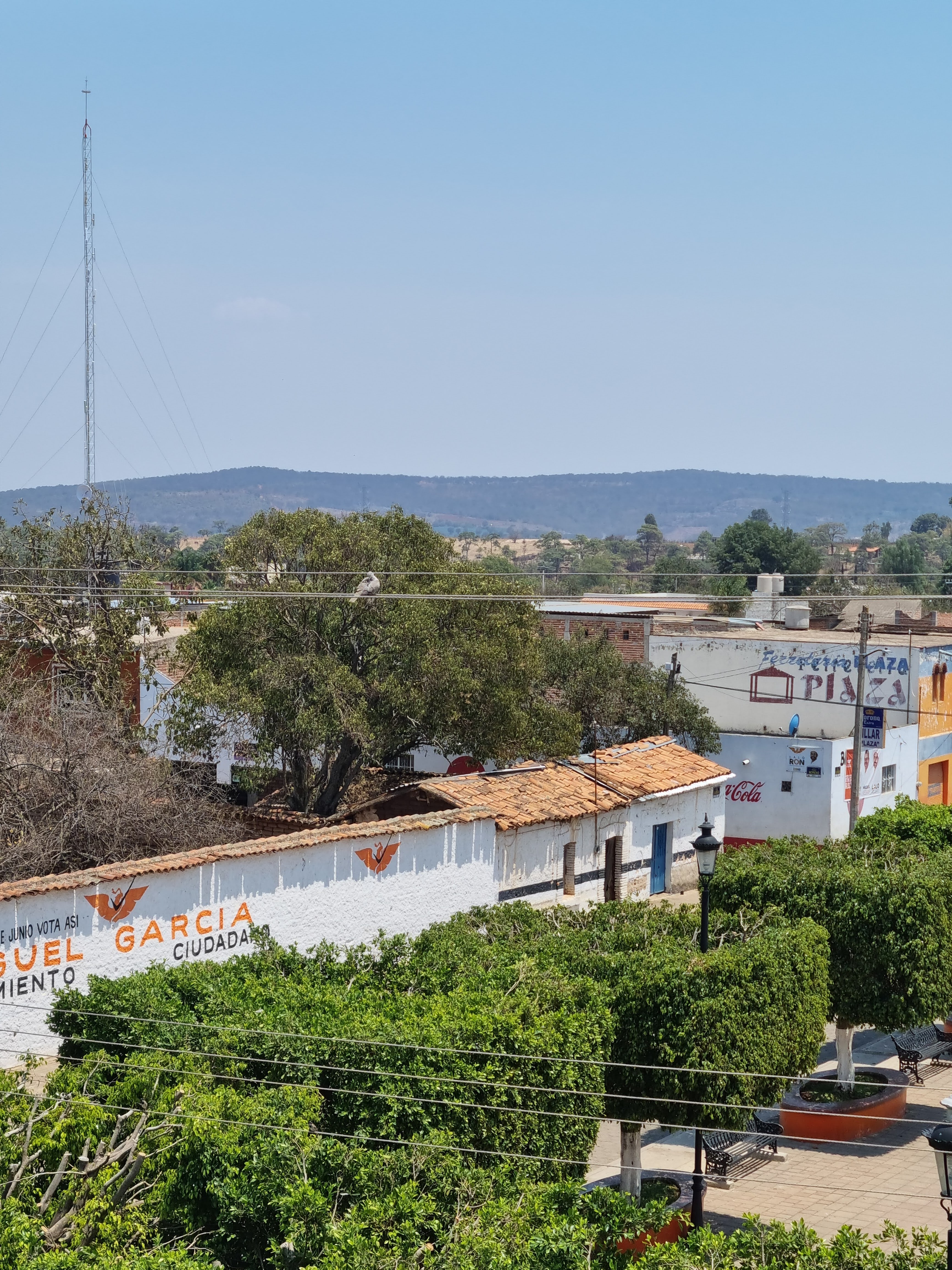 Restaurants Nora image 10