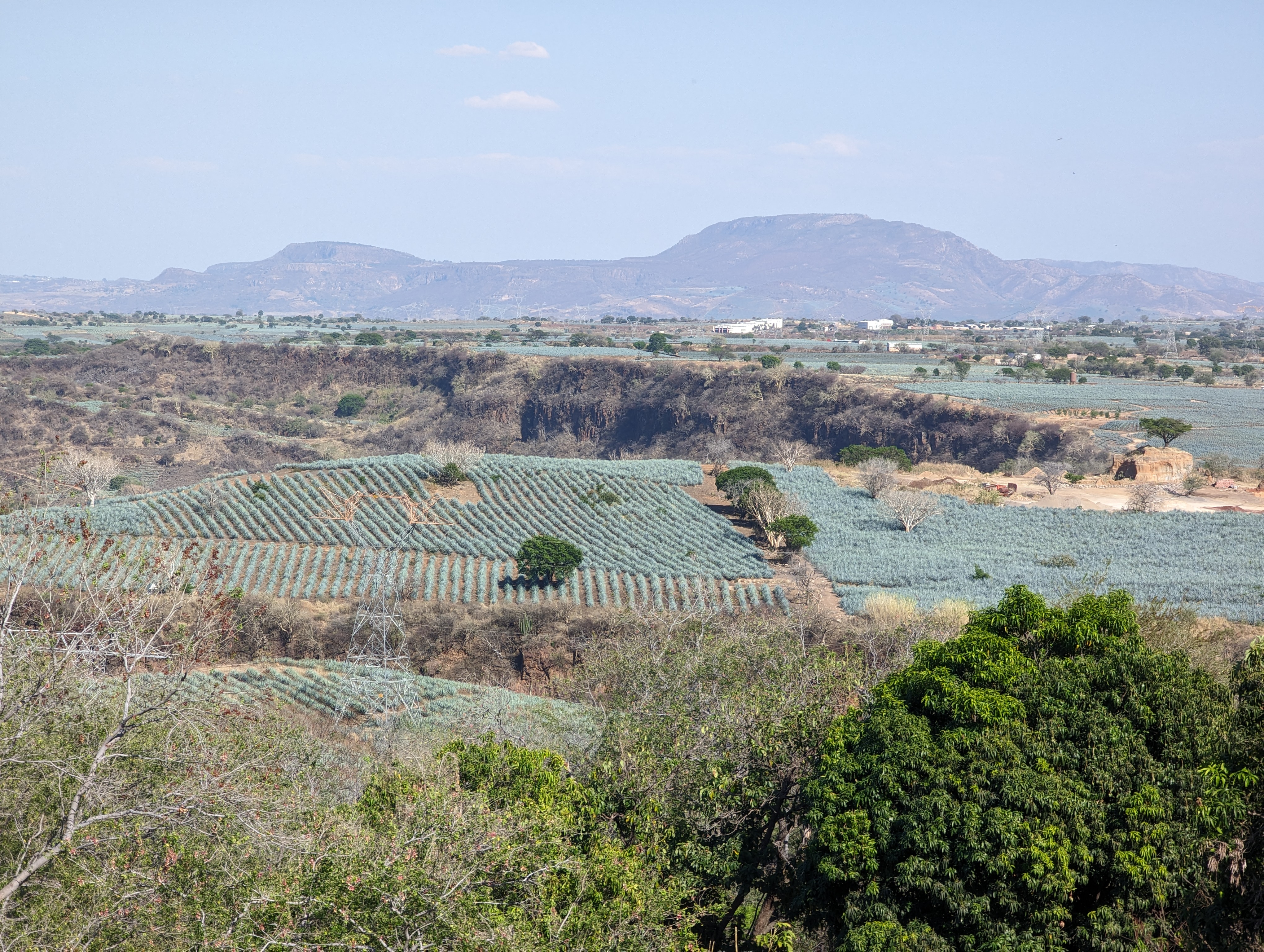 Mariscos el Mar Campestre II image 3
