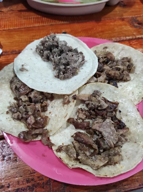 Master Taco image 5
