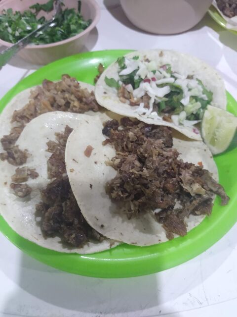 Master Taco image 6