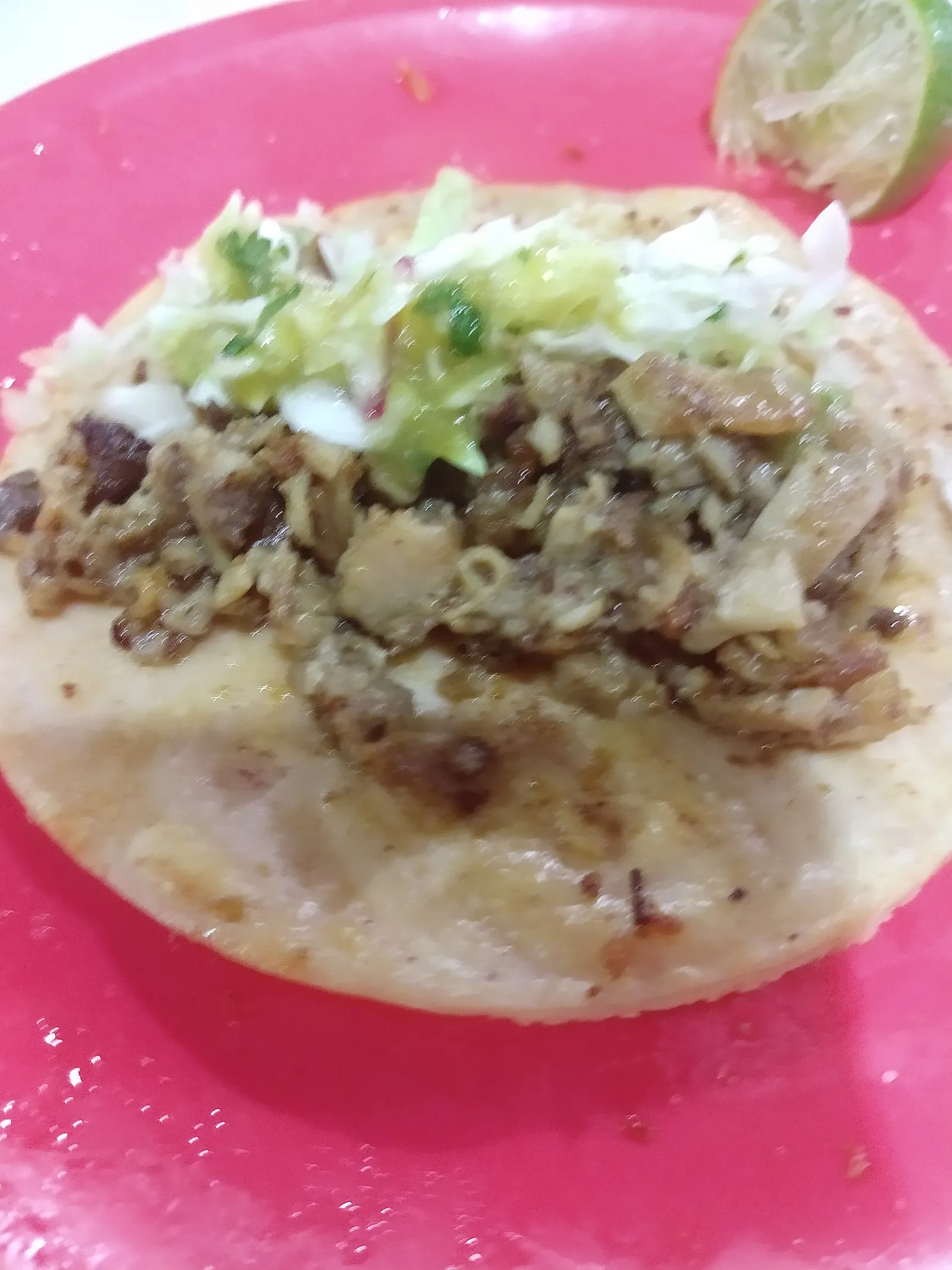 Master Taco image 8