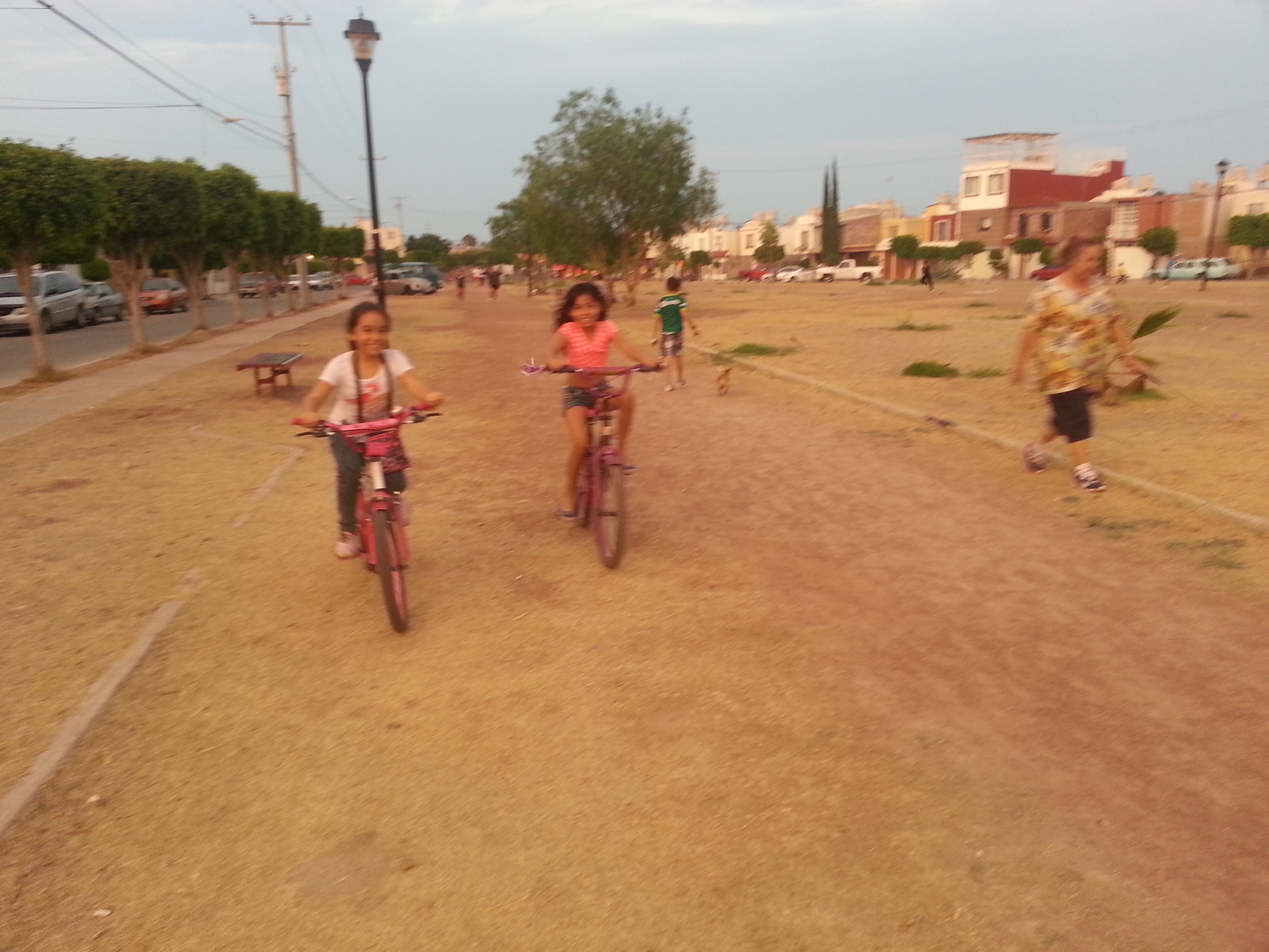 El Pechugón image 6