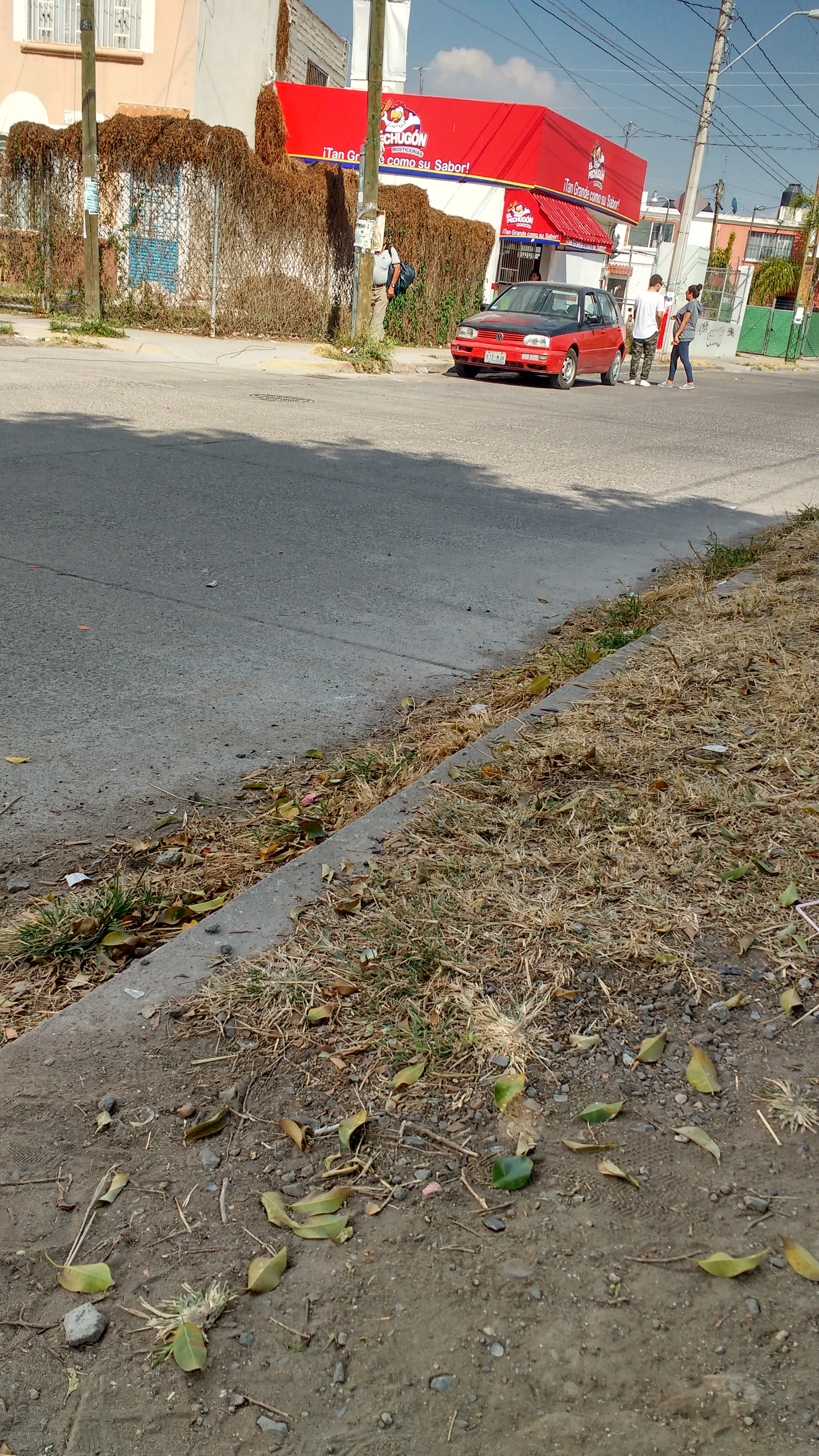 El Pechugón image 7