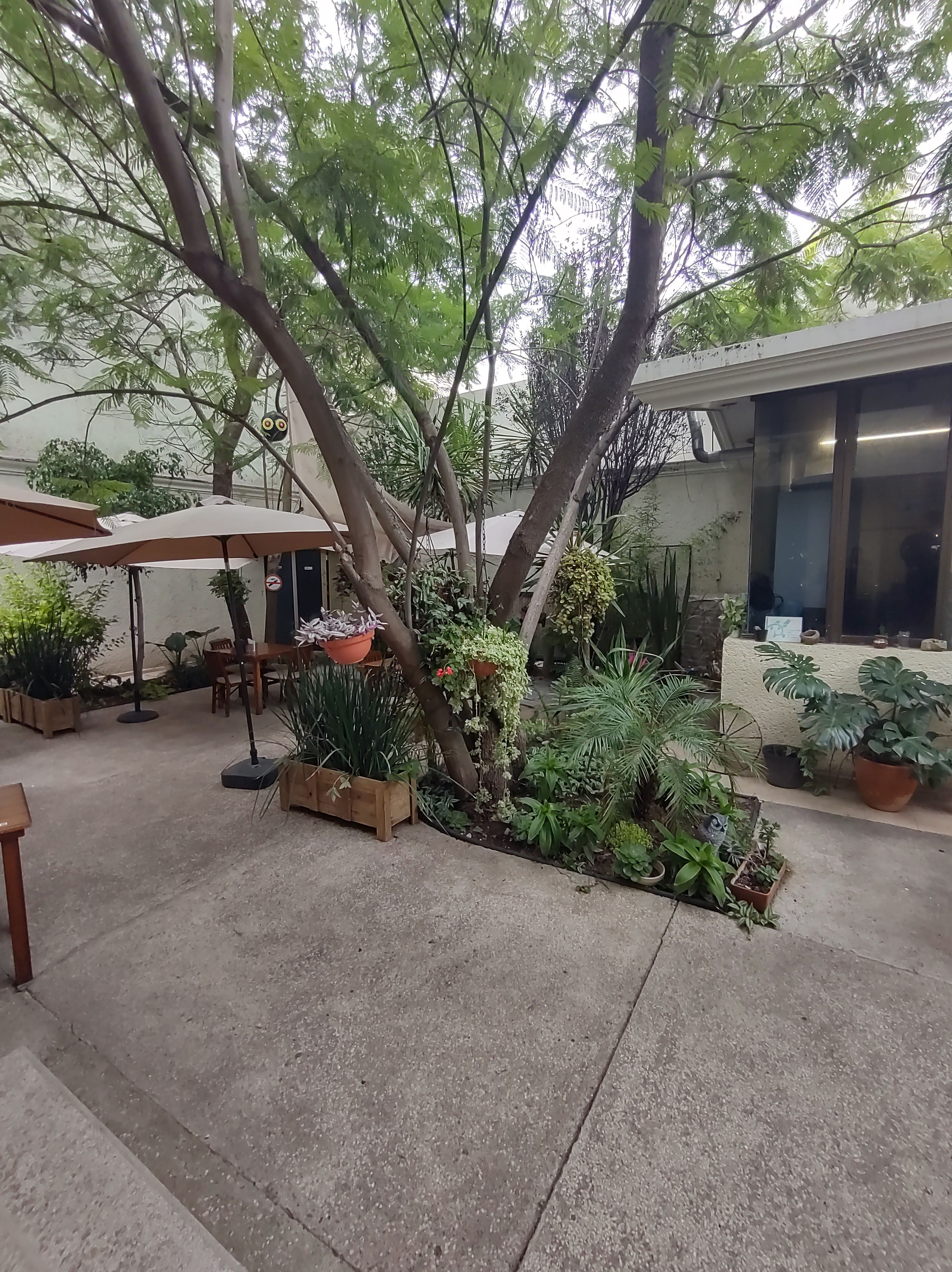 Finca Huasteca Restaurante image 10