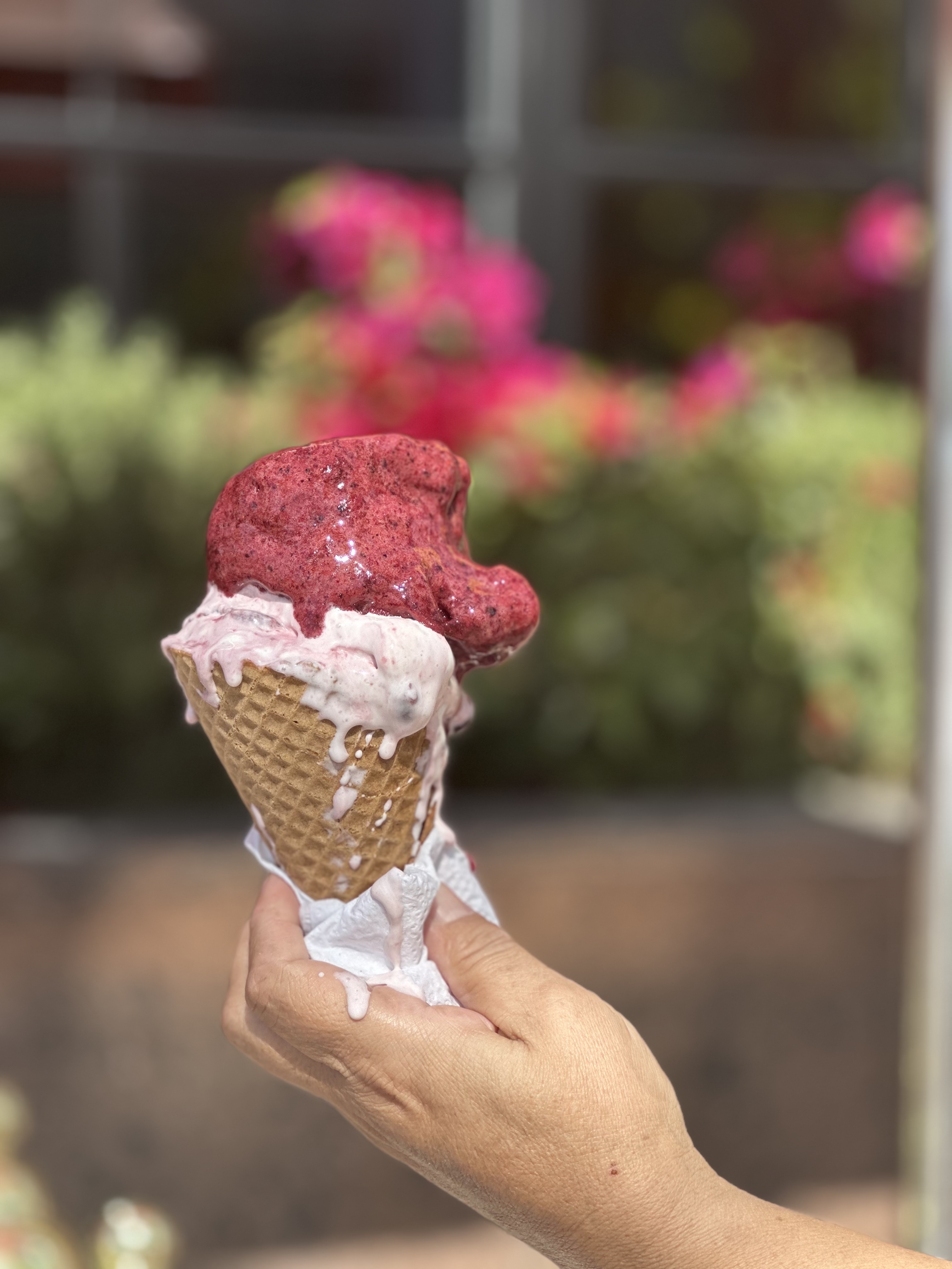 Sensissimo Restaurante Italiano, Cafe y Gelato. image 6