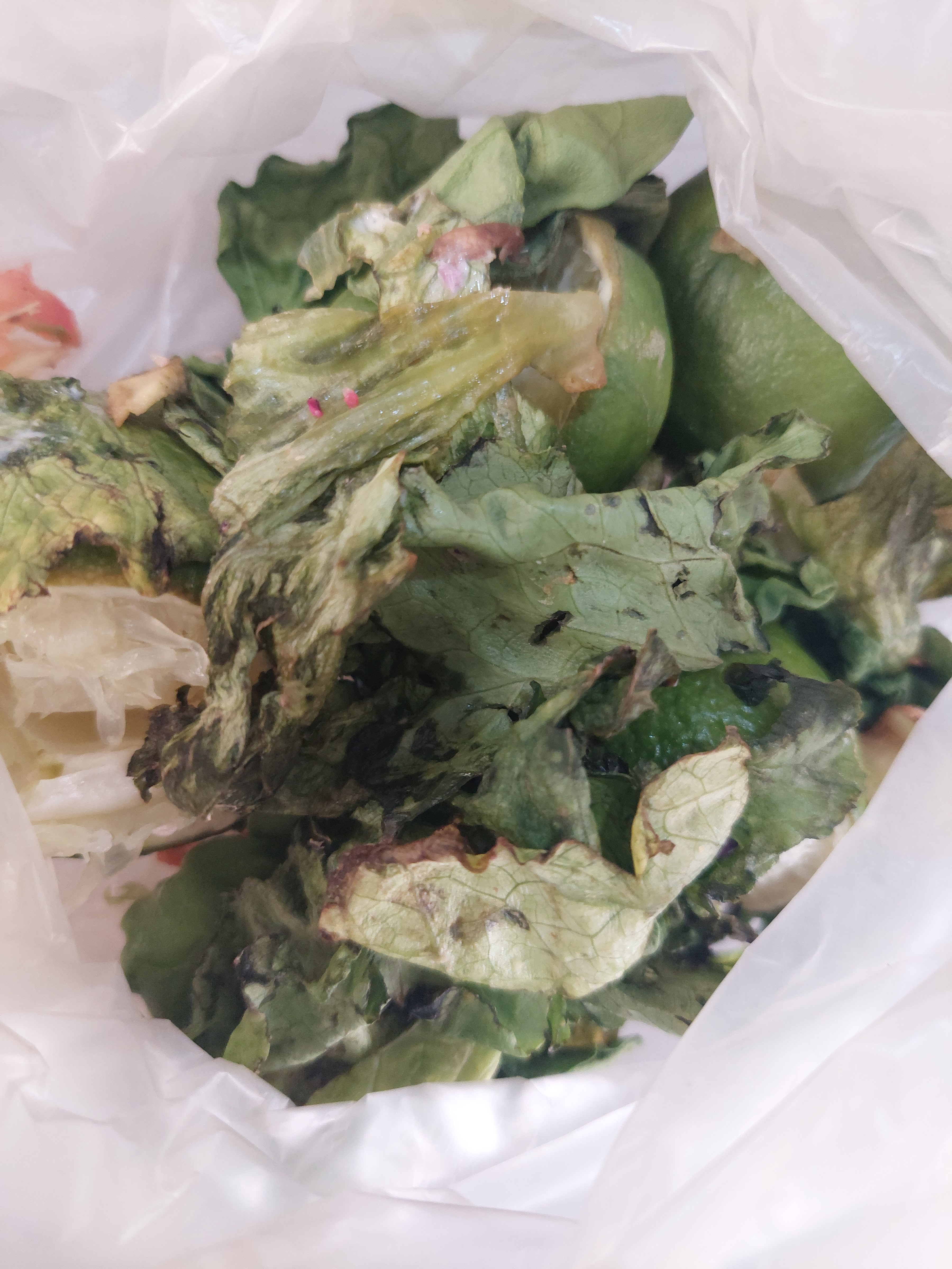 Amerix Burger Trojes image 6