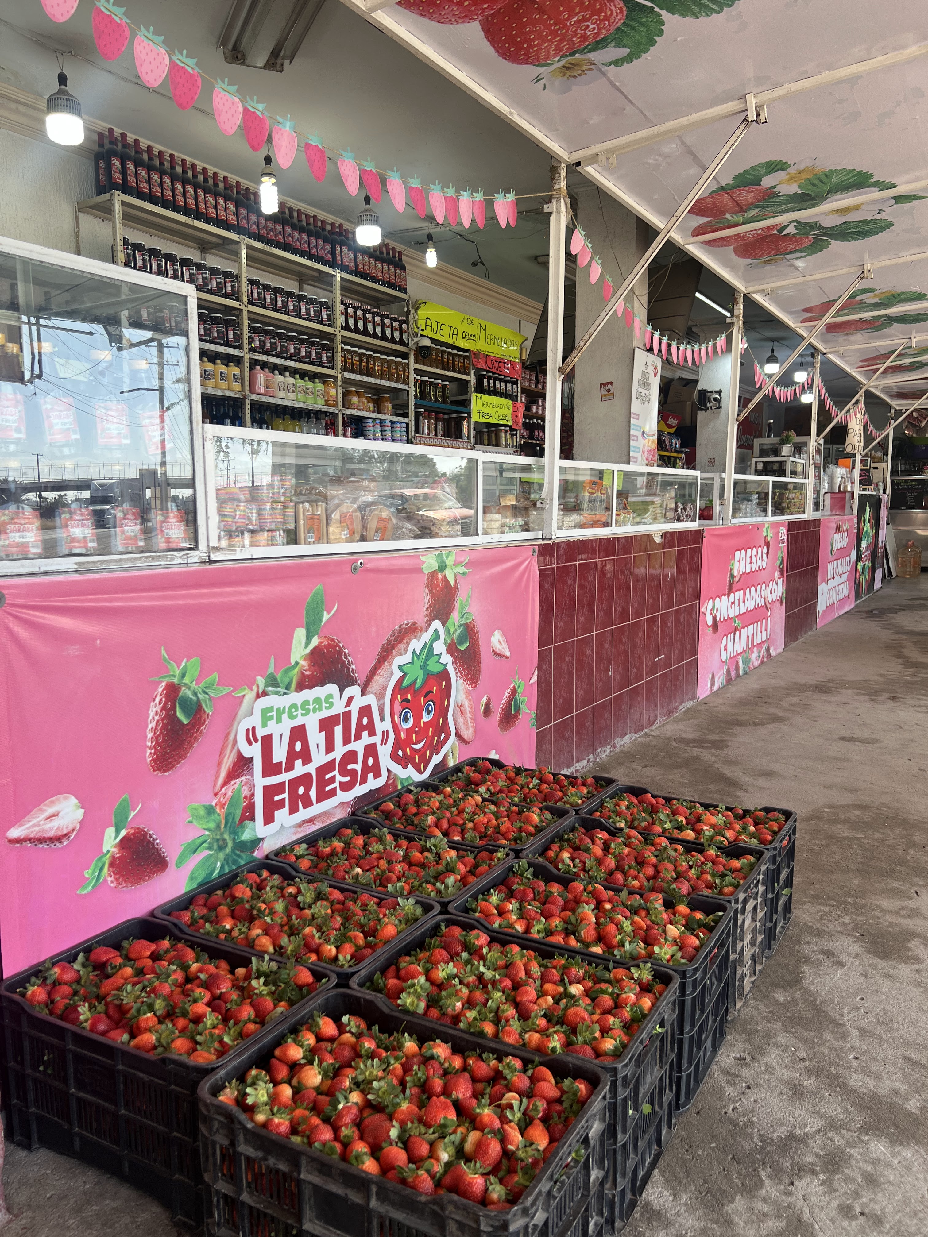 Fresas “la Tía Fresa” image 1