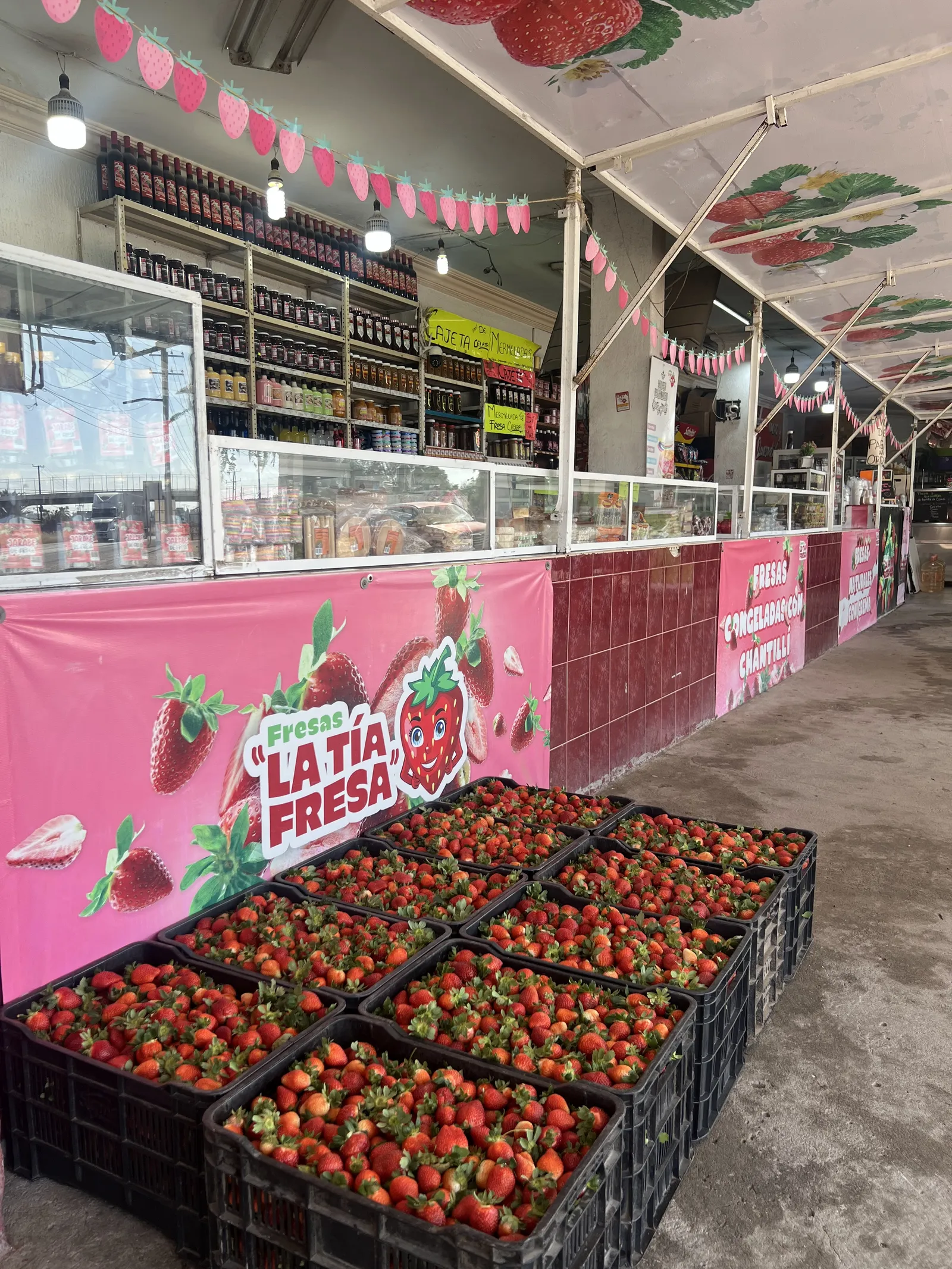 Fresas “la Tía Fresa” image 1