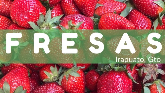 Fresas “la Tía Fresa” image 2