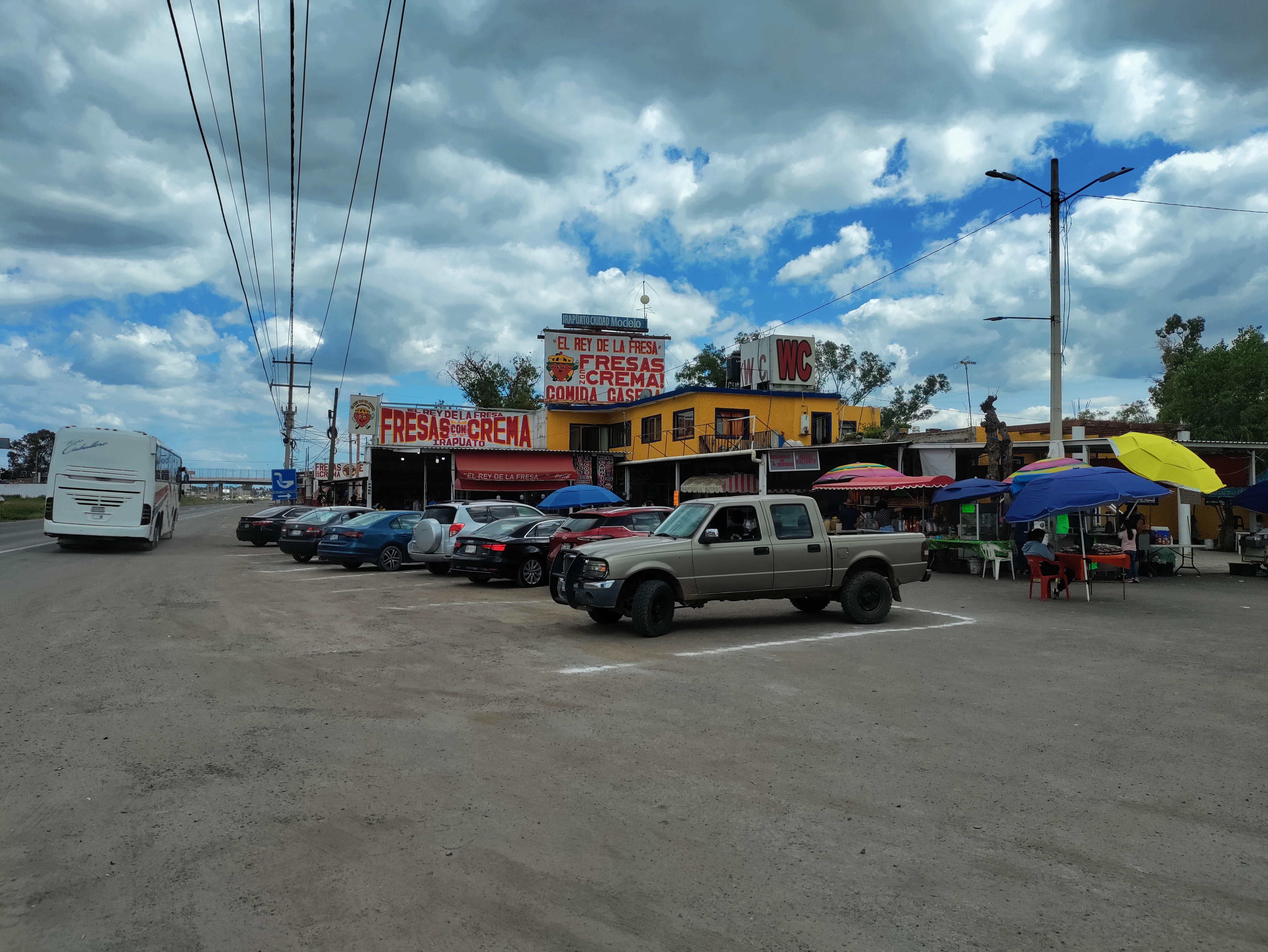 Fresas “la Tía Fresa” image 9