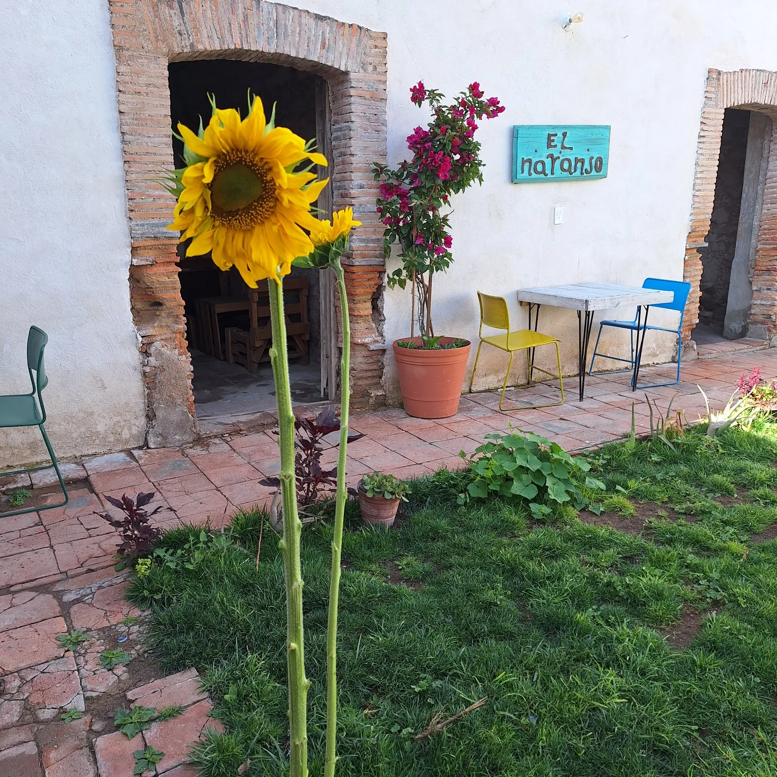 Casa Petra image 4