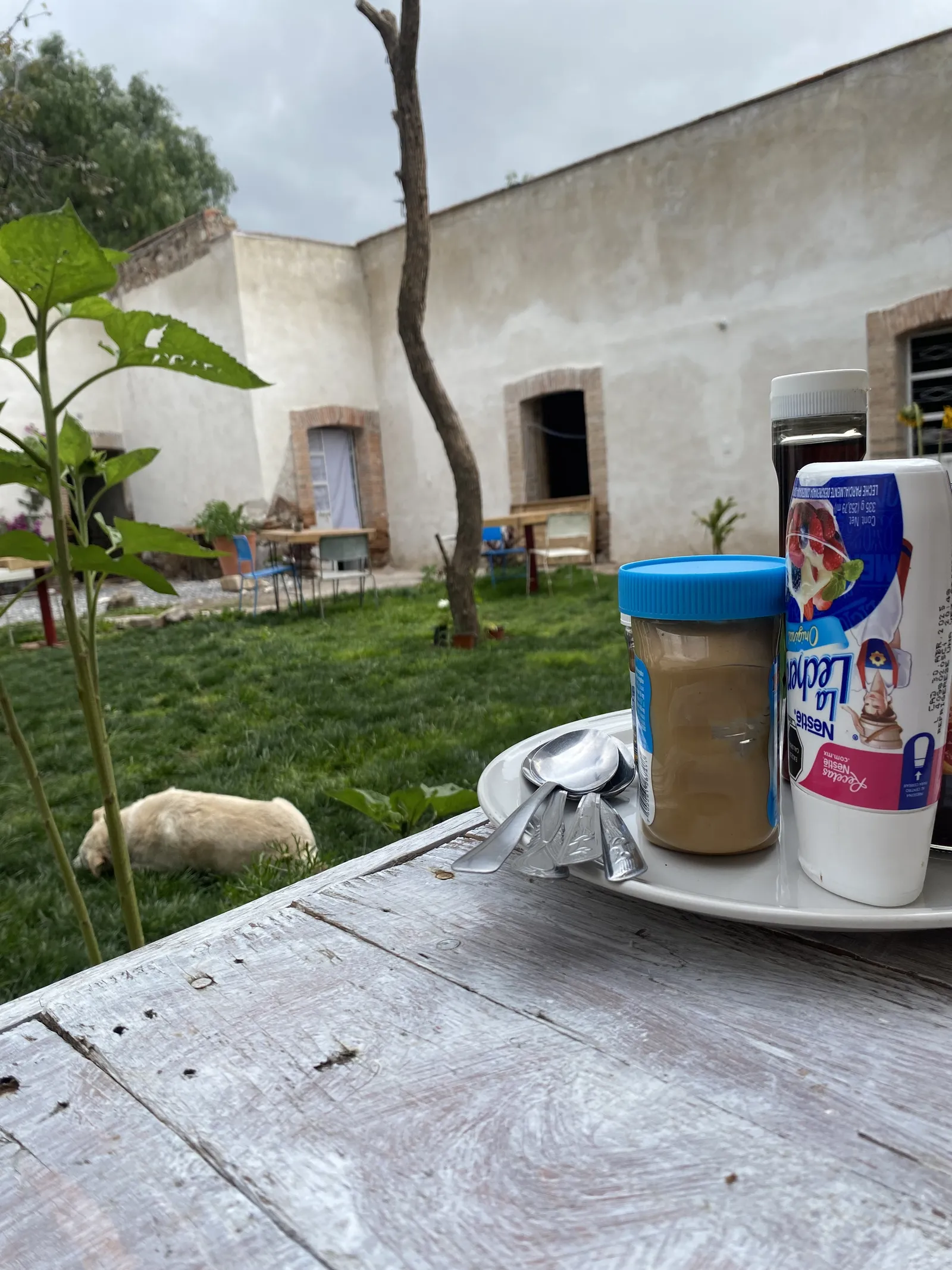 Casa Petra image 10