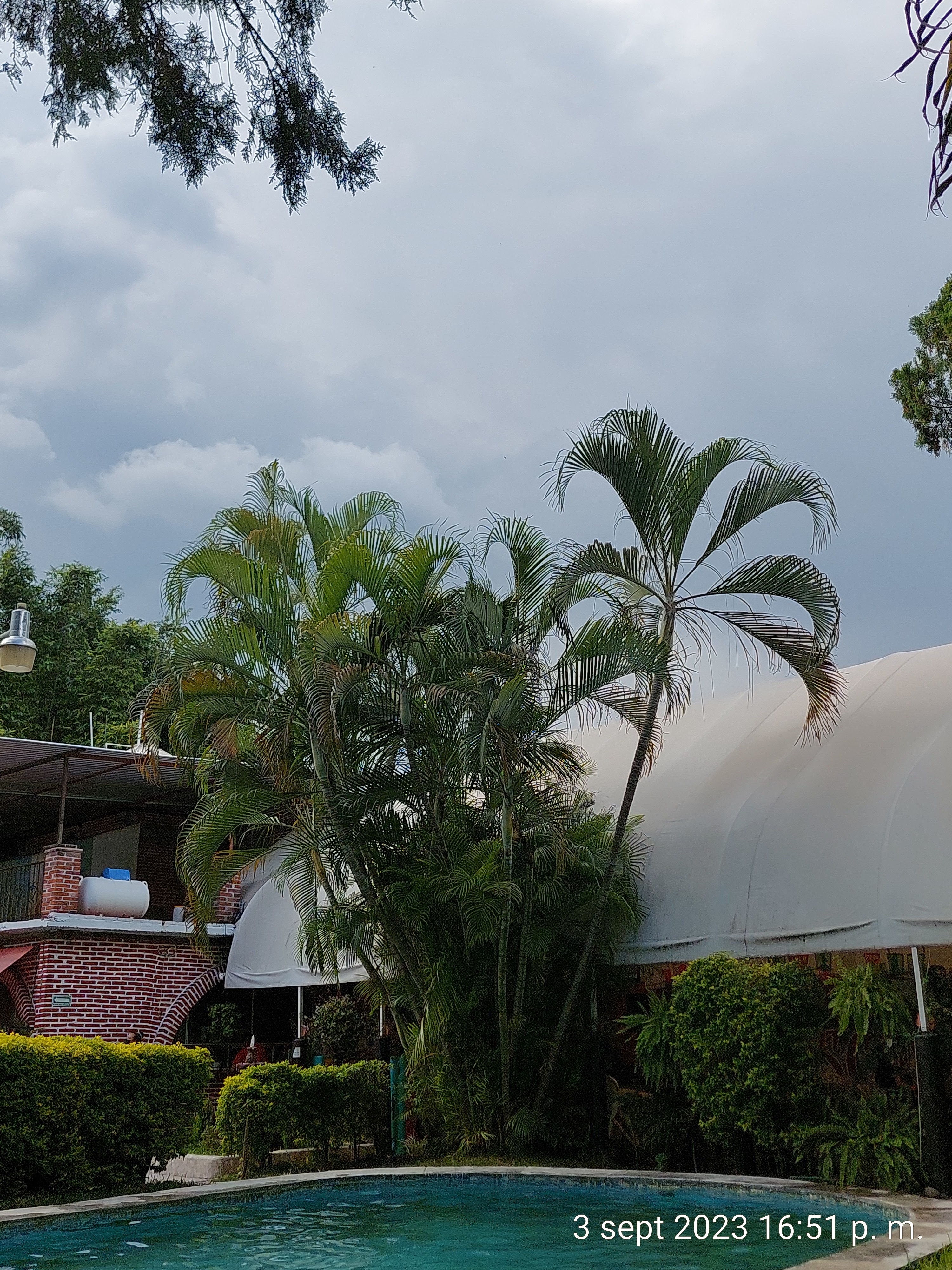 Mariscos Doña Yola image 6