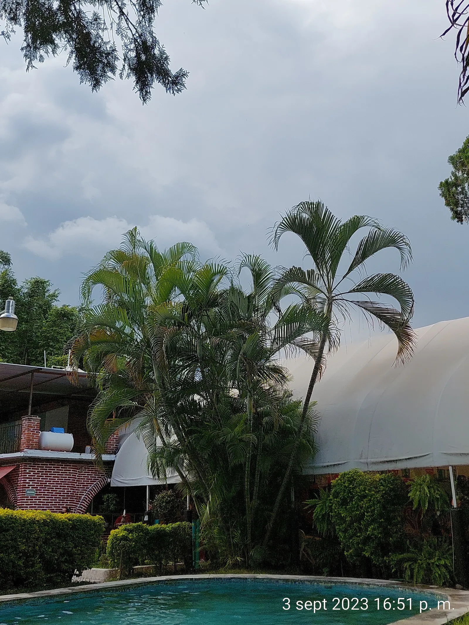 Mariscos Doña Yola image 6