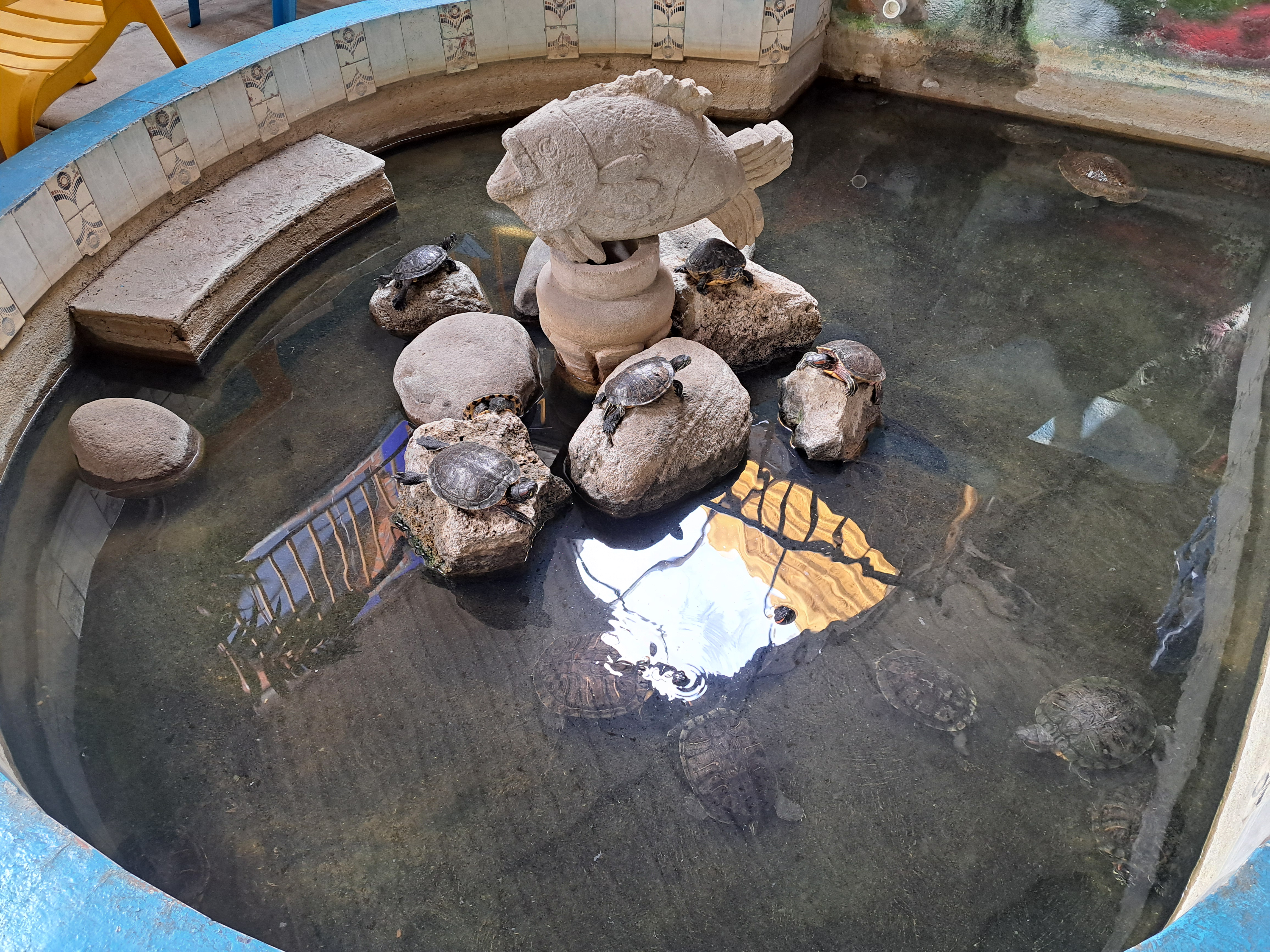 Mariscos El Camarada image 7