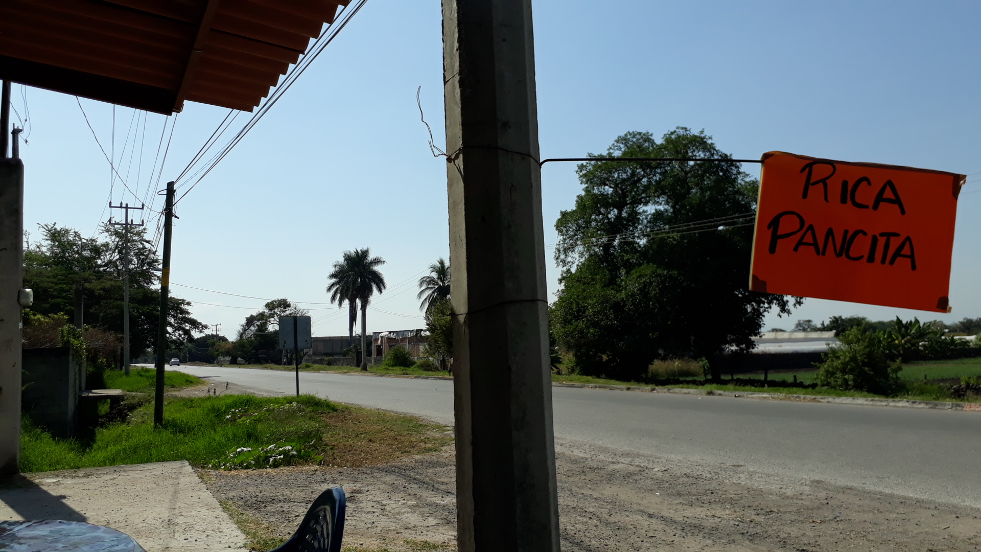 Antojitos Mexicanos Remy image 7