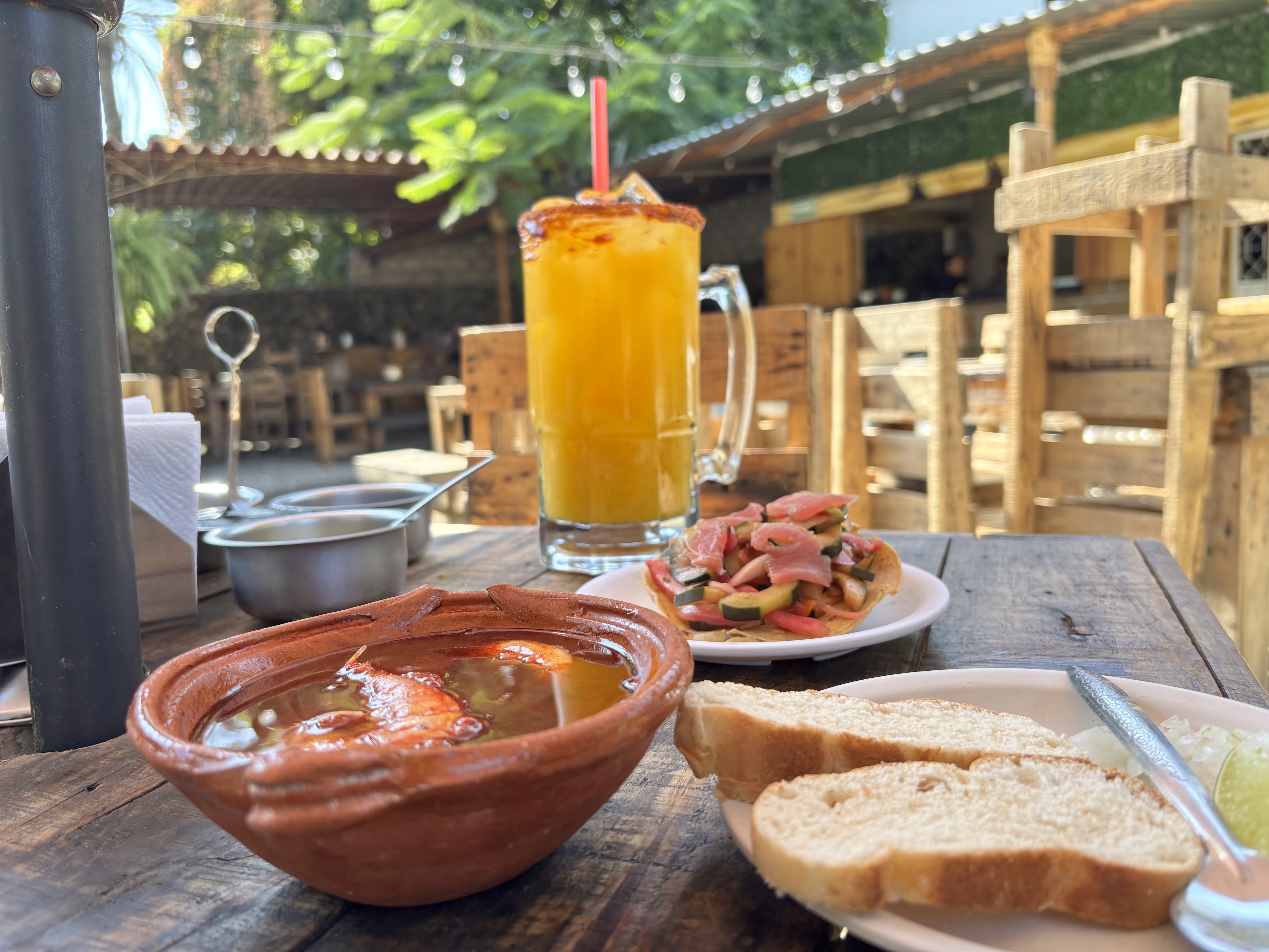 Iguana centro botanero image 3
