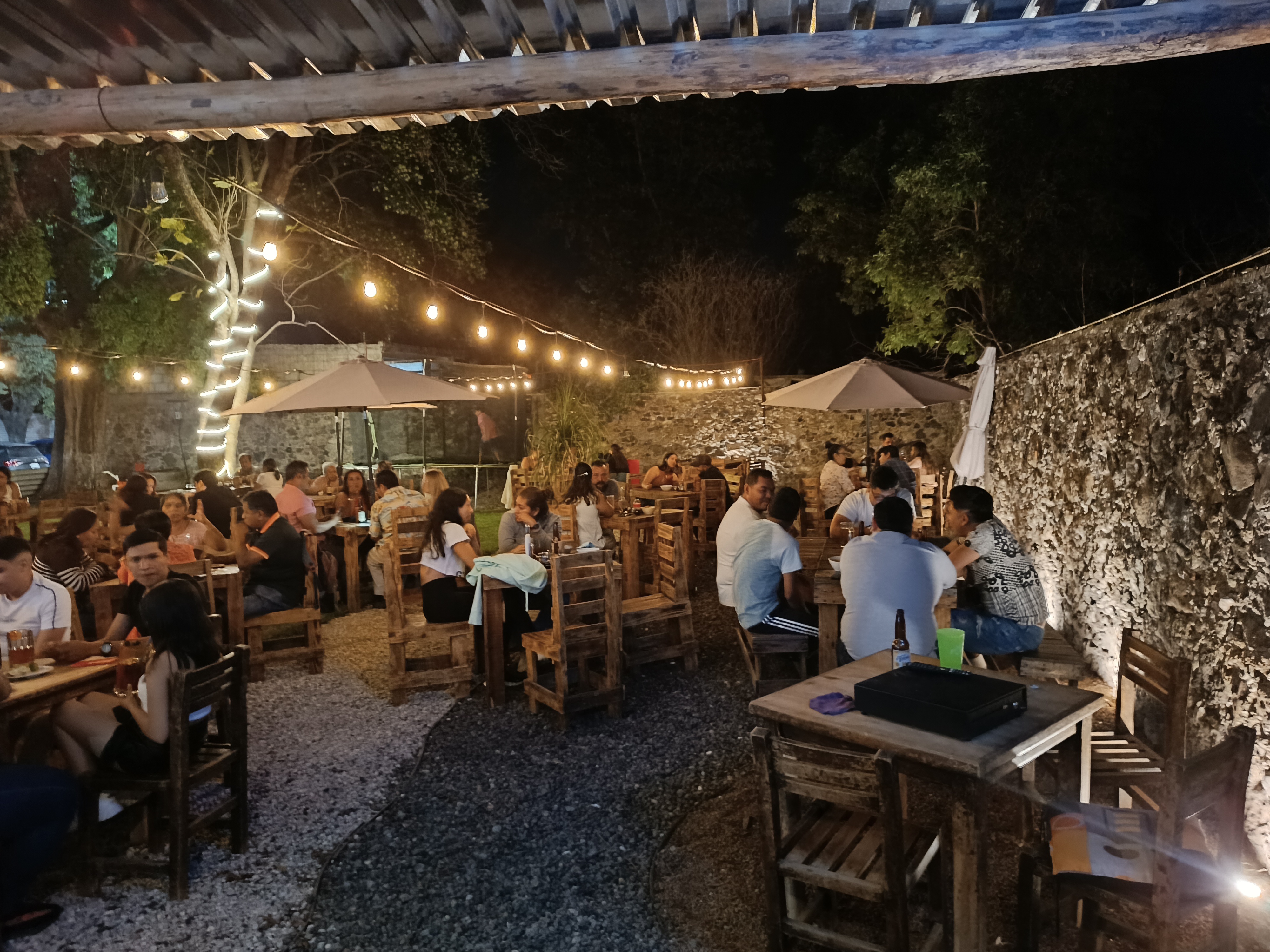 Iguana centro botanero image 4