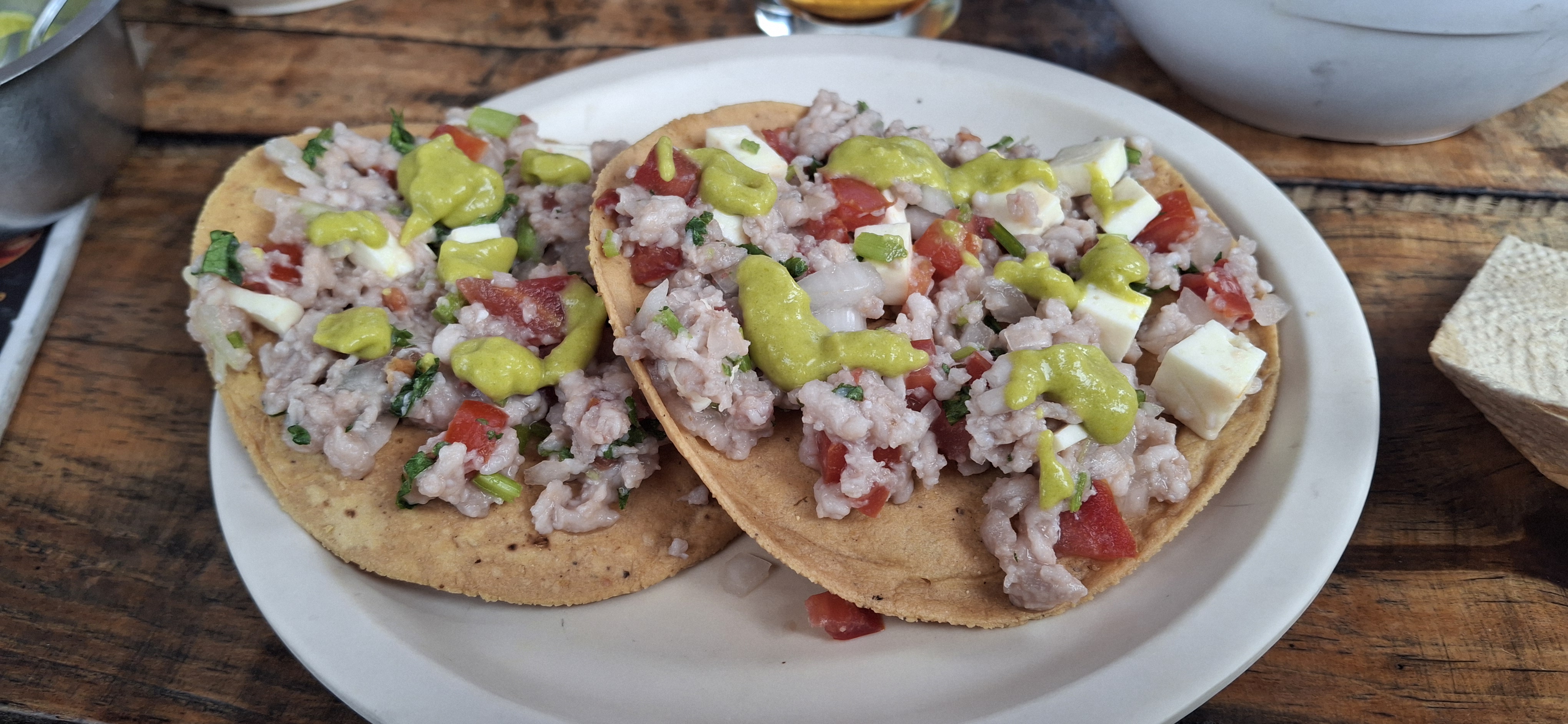Iguana centro botanero image 7