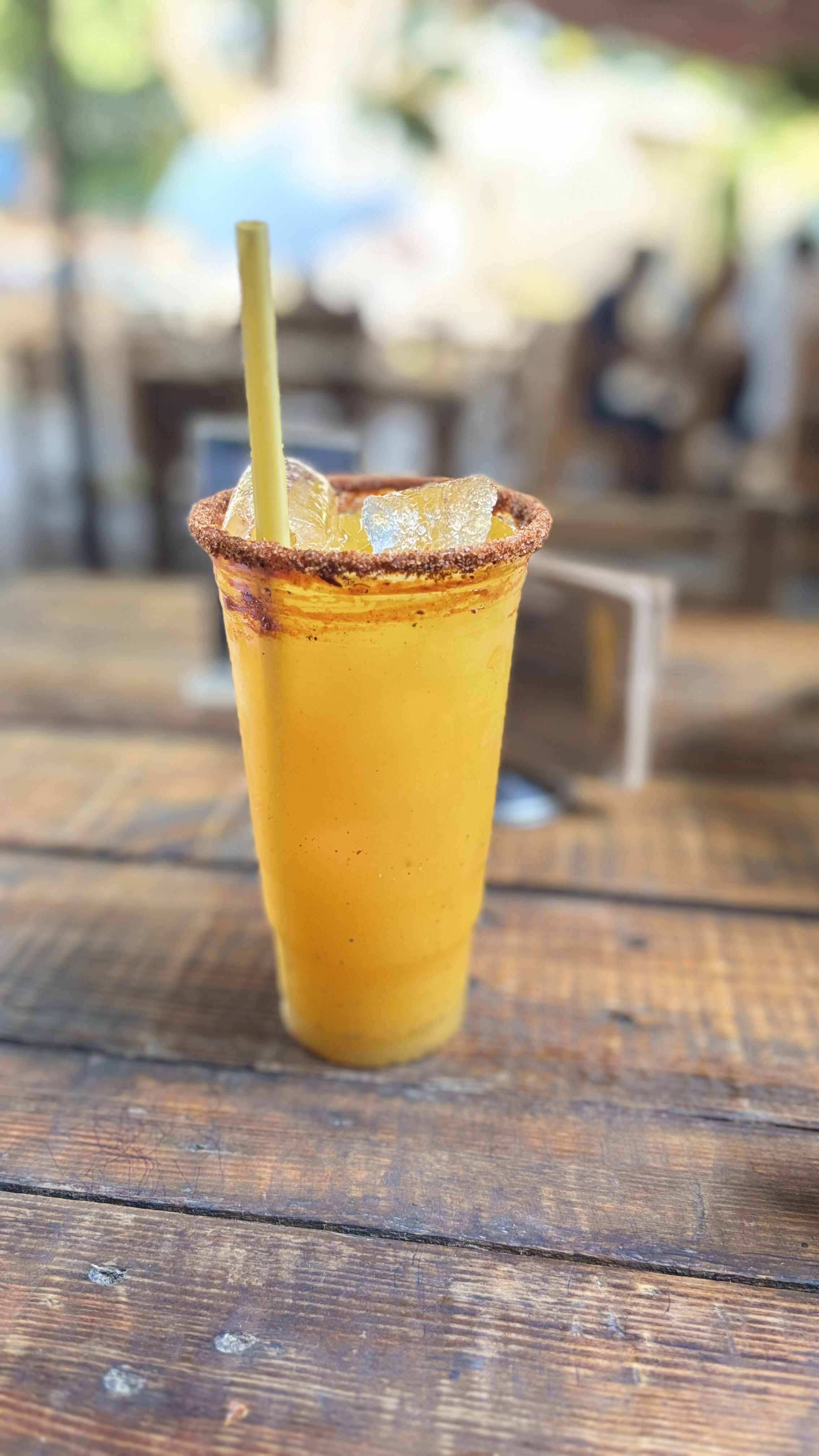 Iguana centro botanero image 8