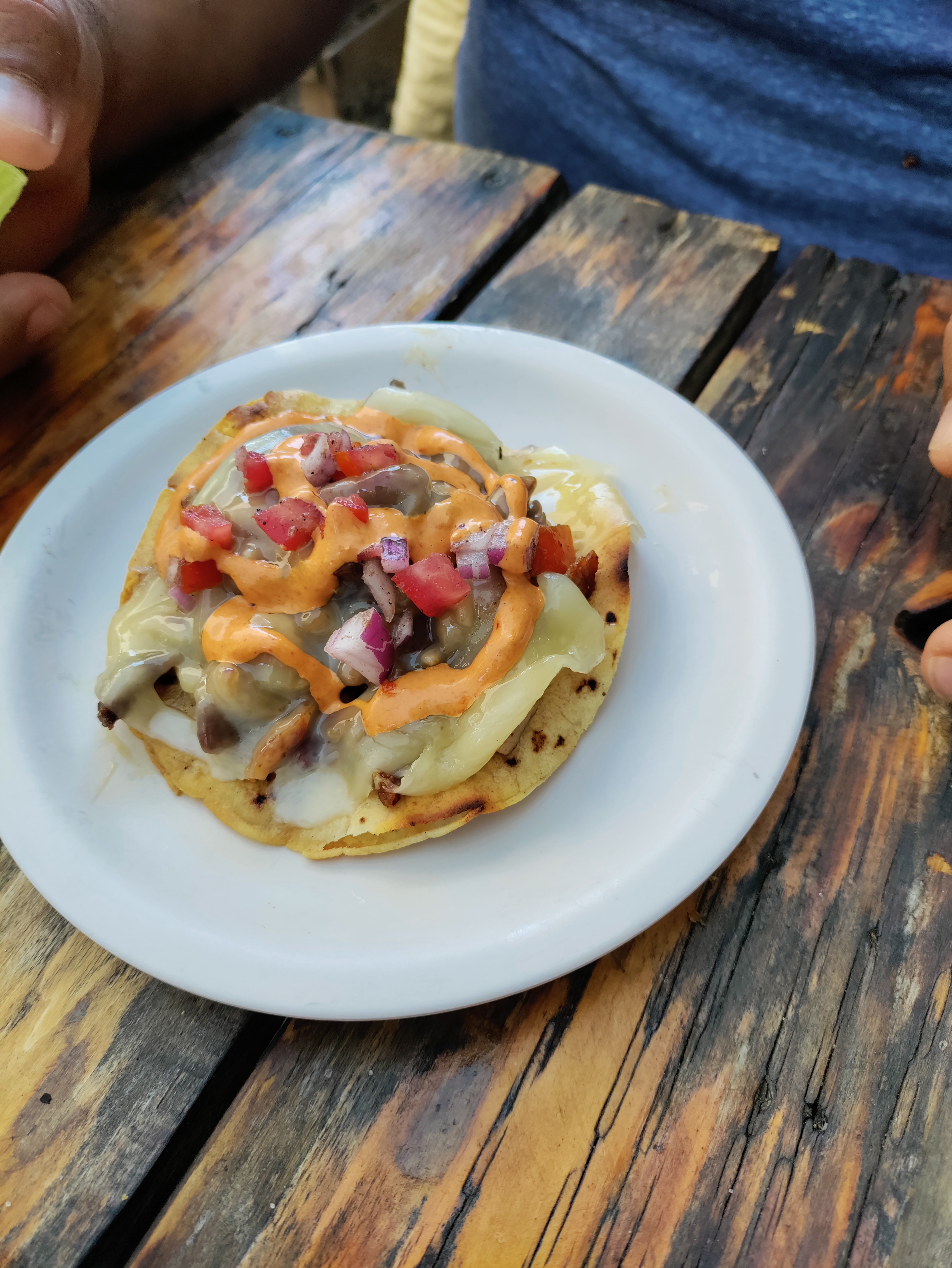 Iguana centro botanero image 9