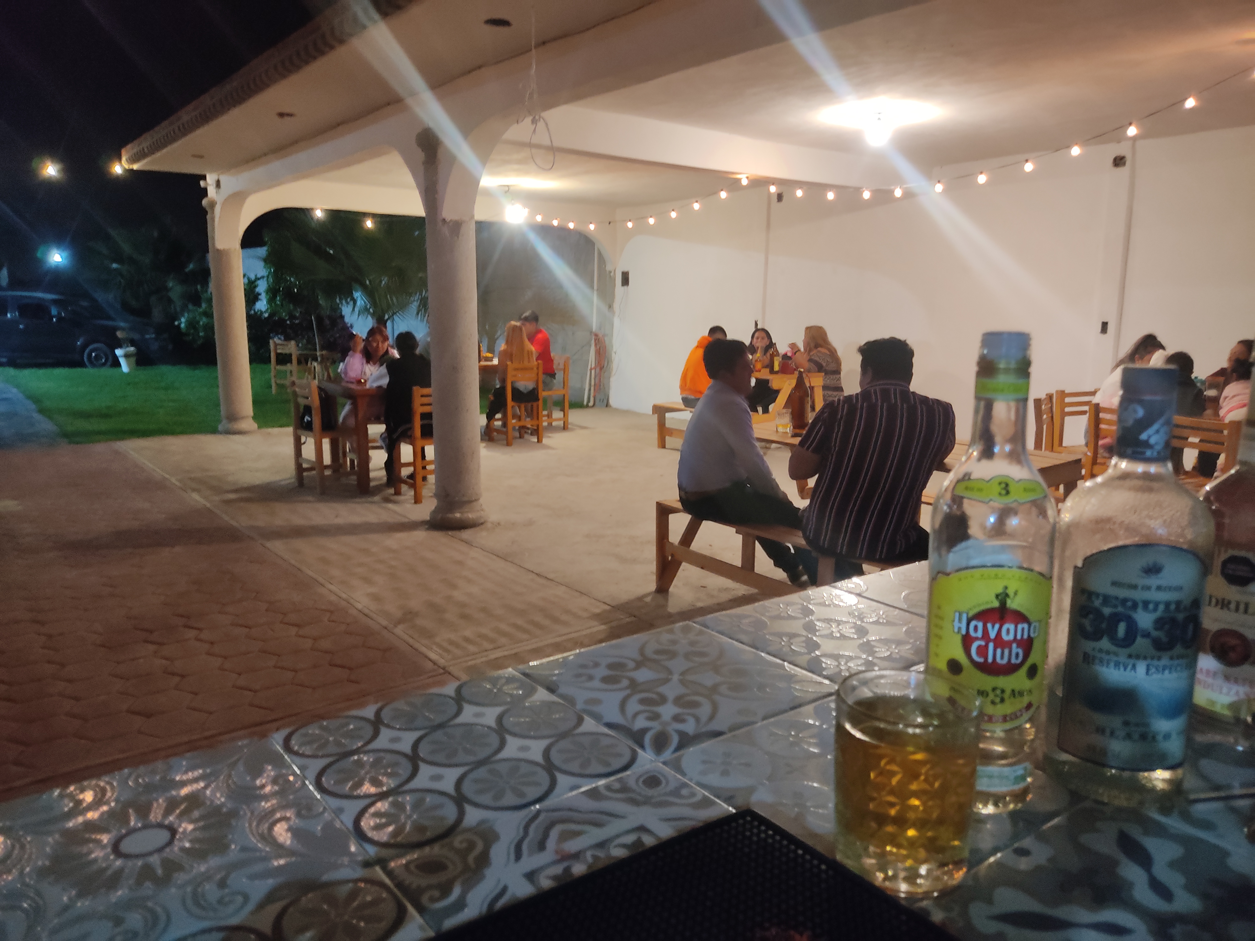 Perro Mestizo image 3