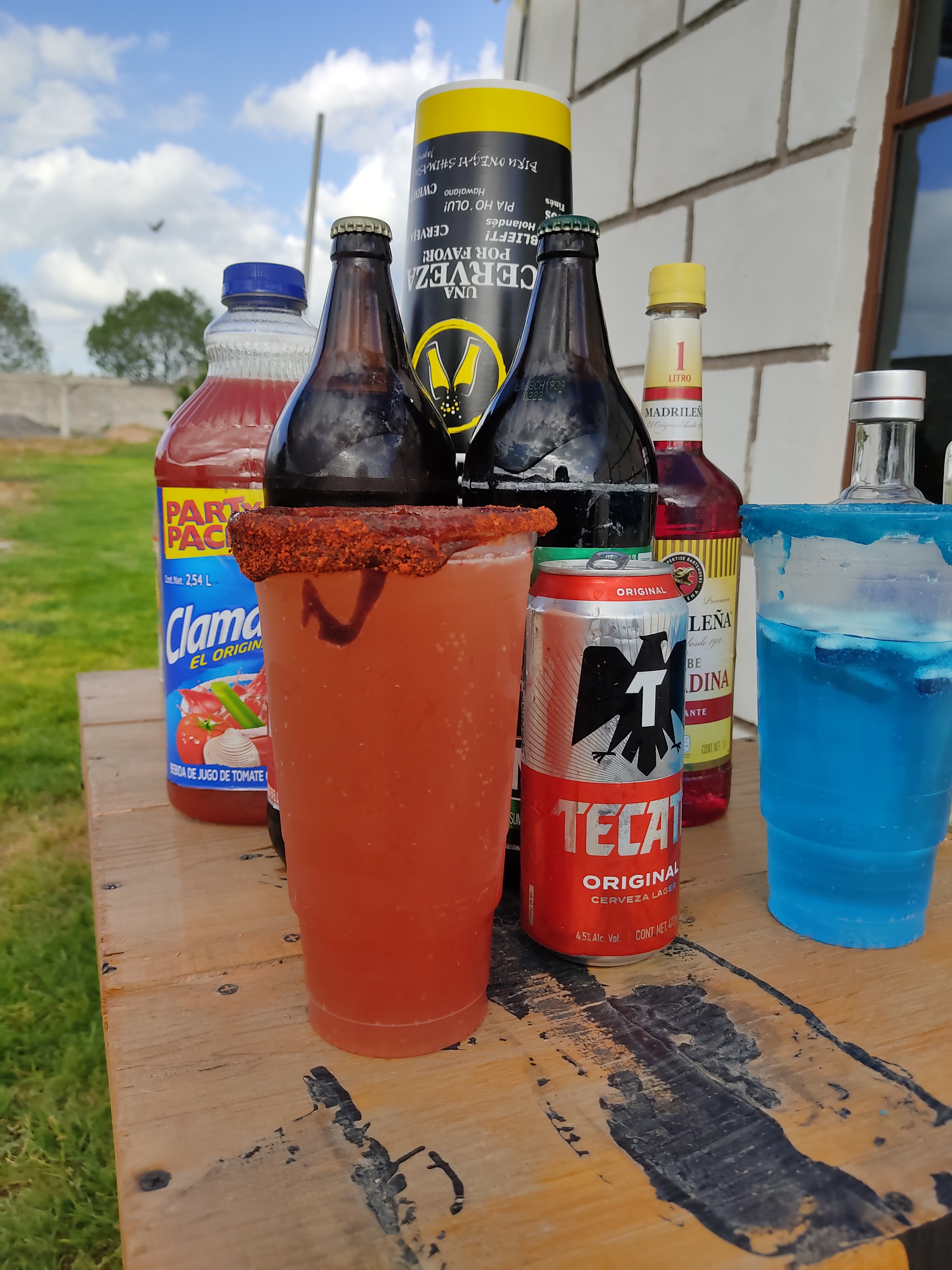 Perro Mestizo image 4