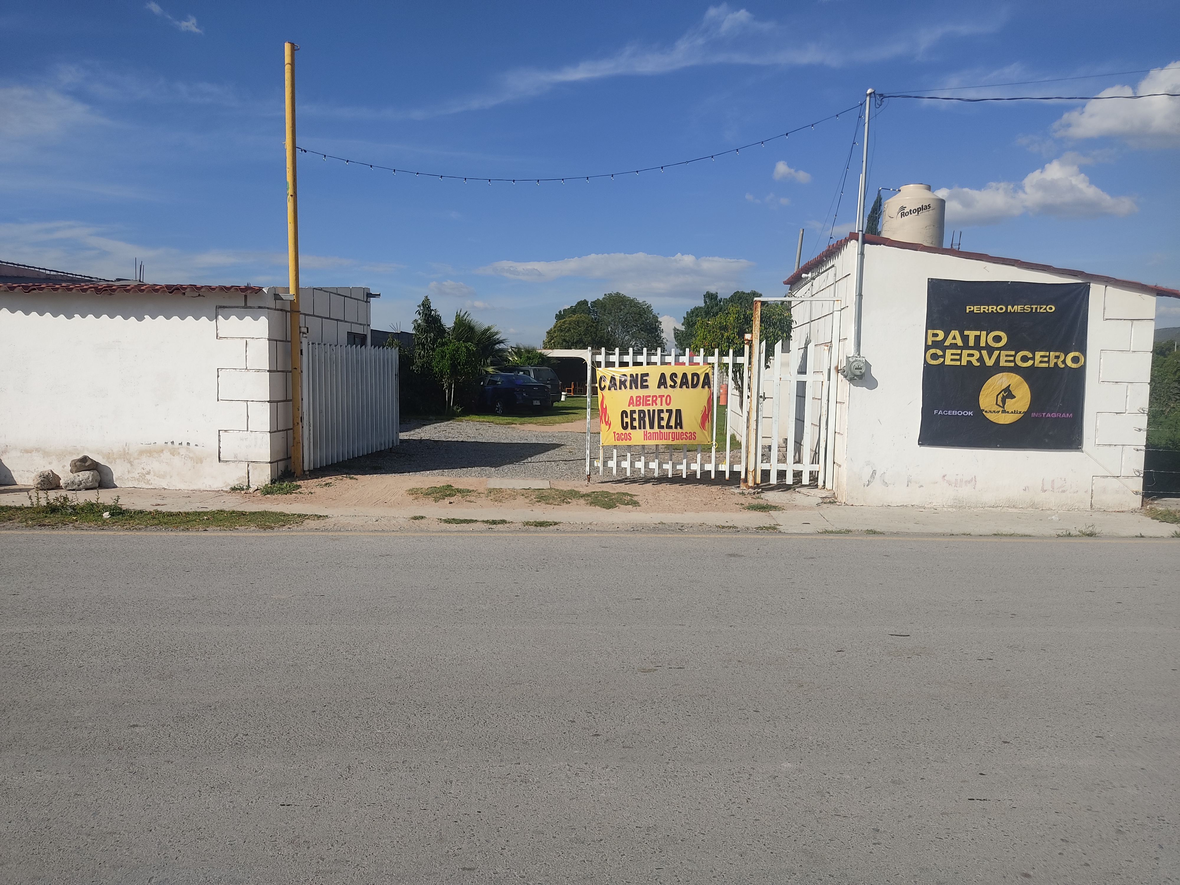 Perro Mestizo image 10