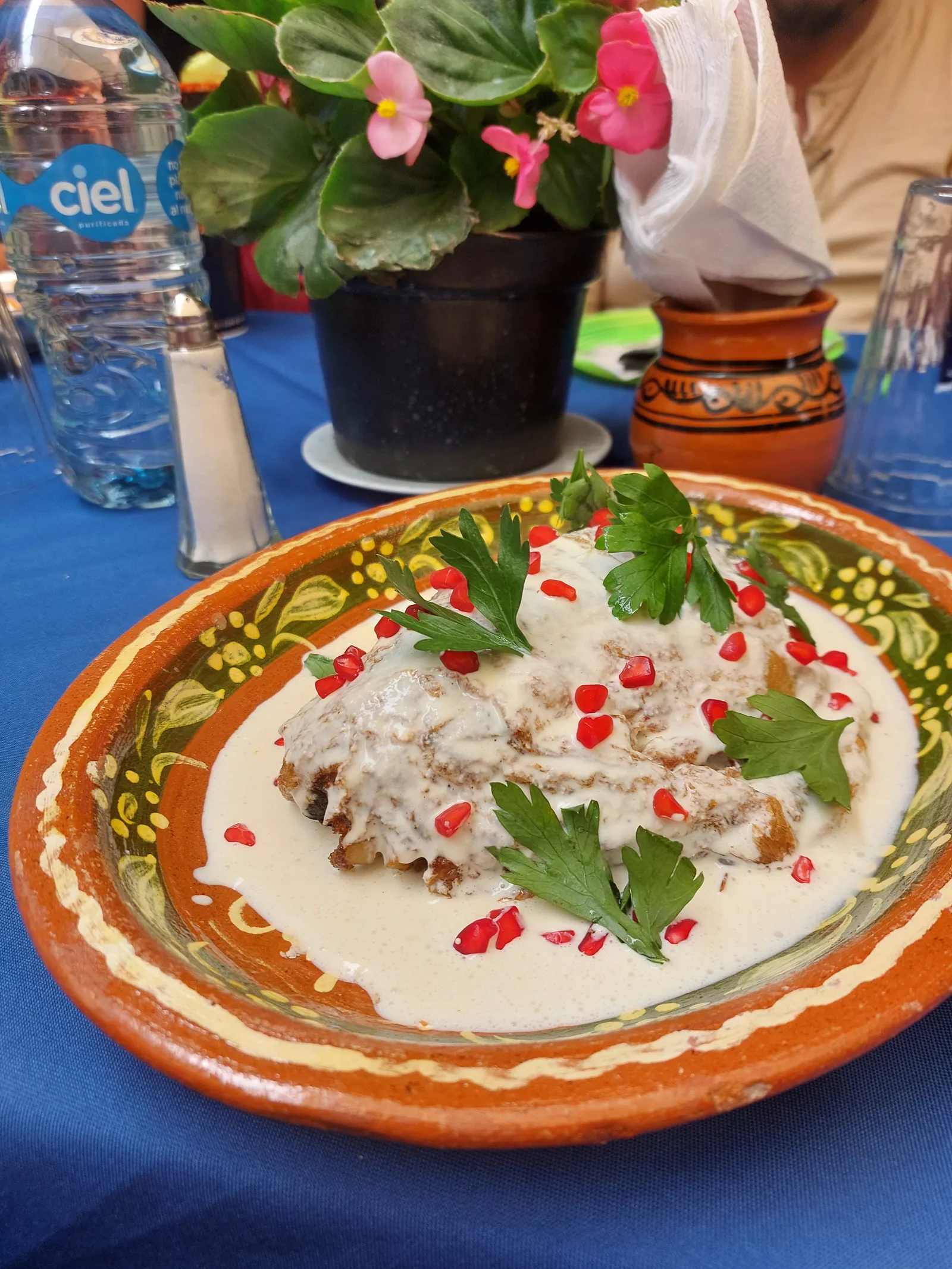 Chiles en nogada Don Nachito image 3