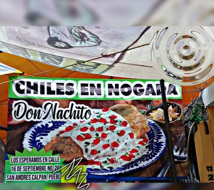 Chiles en nogada Don Nachito image 5