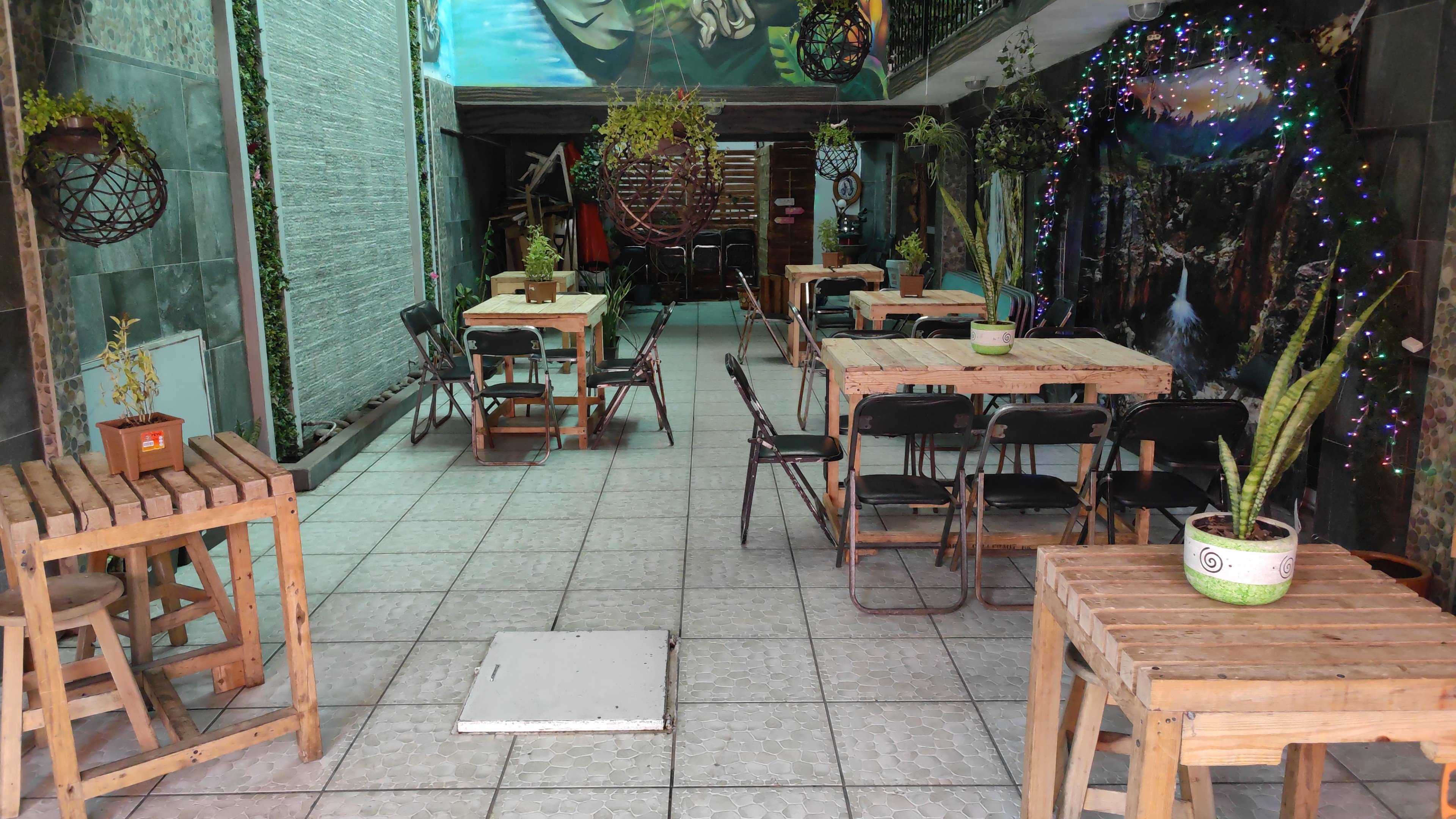 Paco's tacos image 9