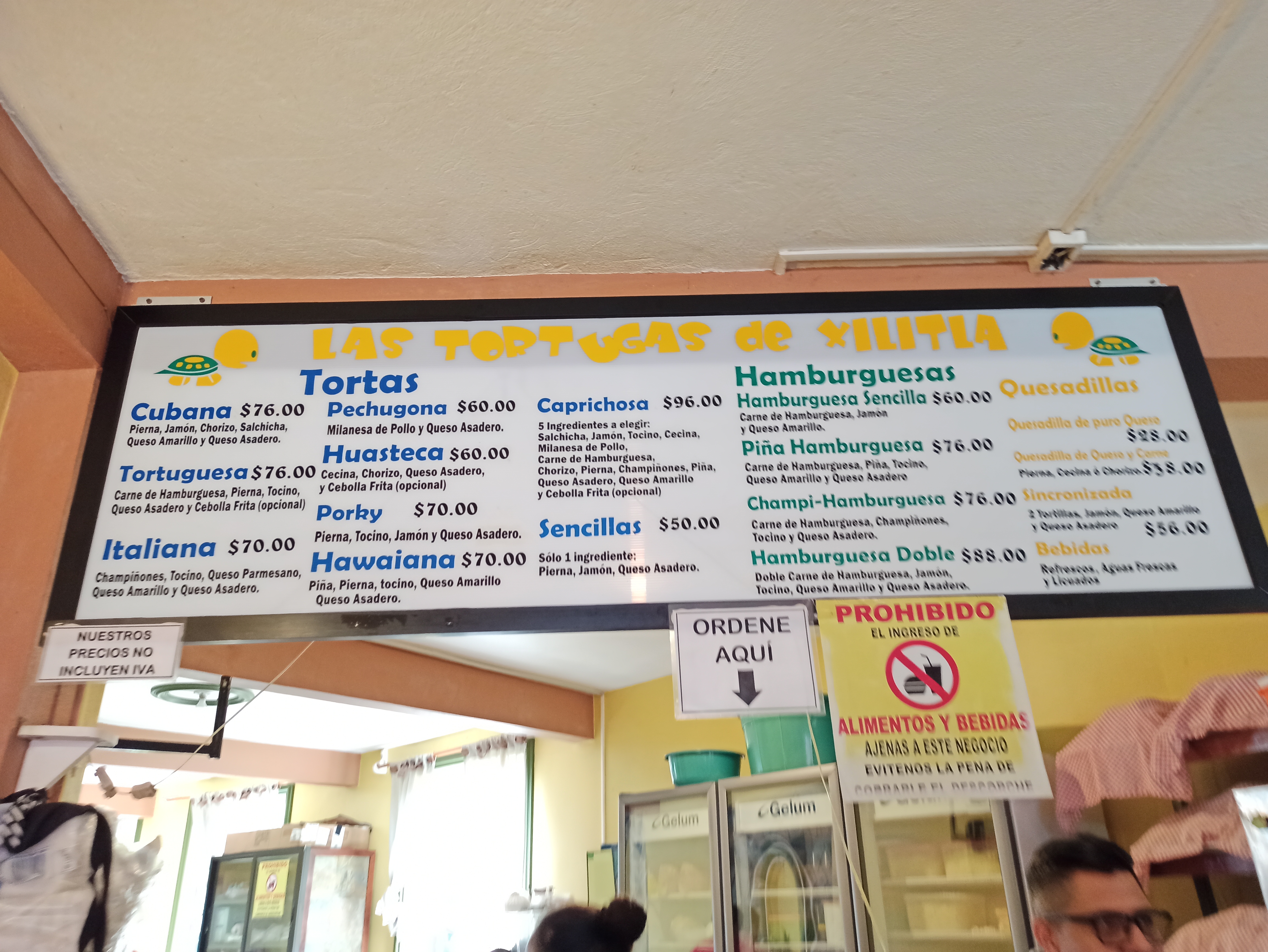 Las Tortugas De Xilitla image 3