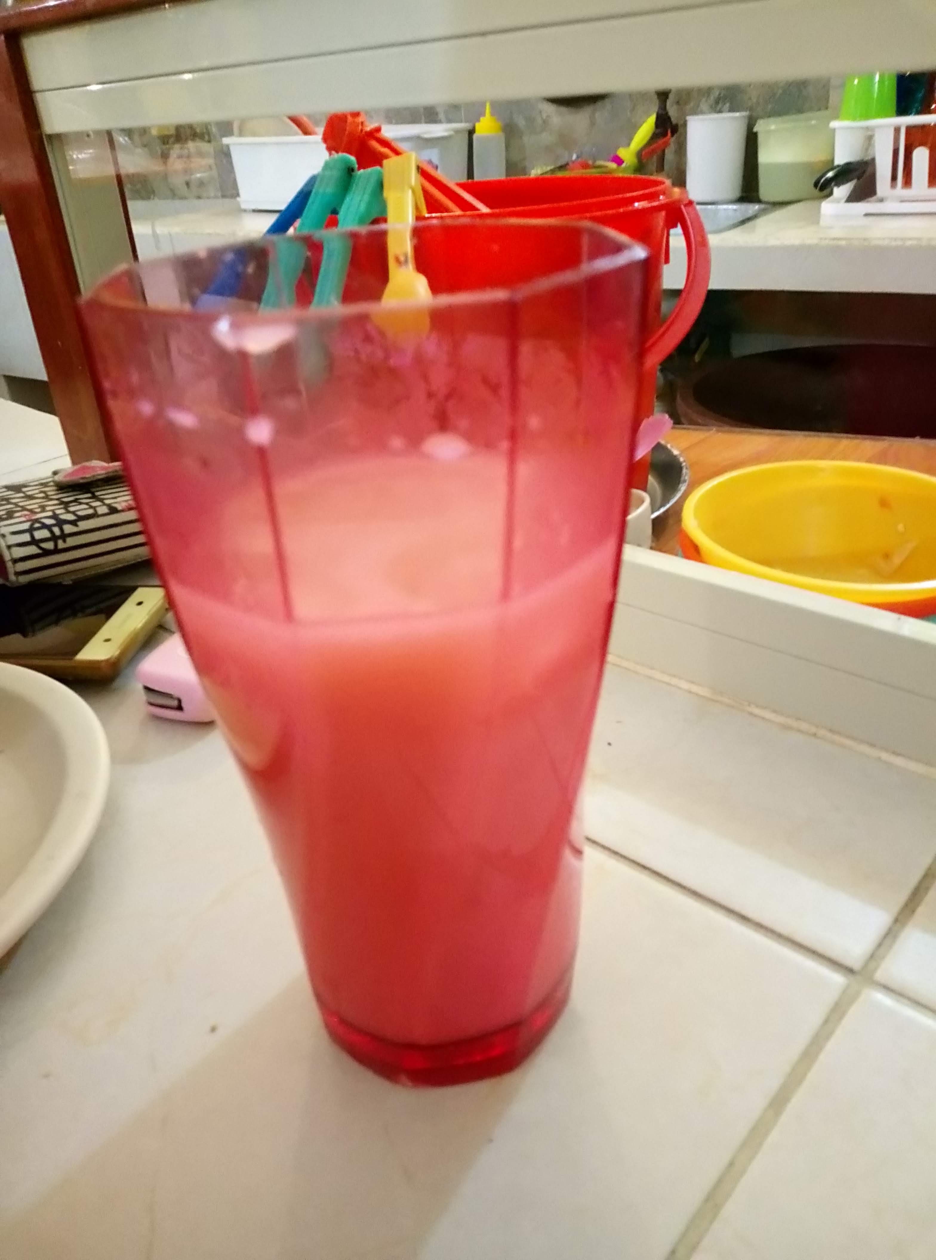 Las Tortugas De Xilitla image 5