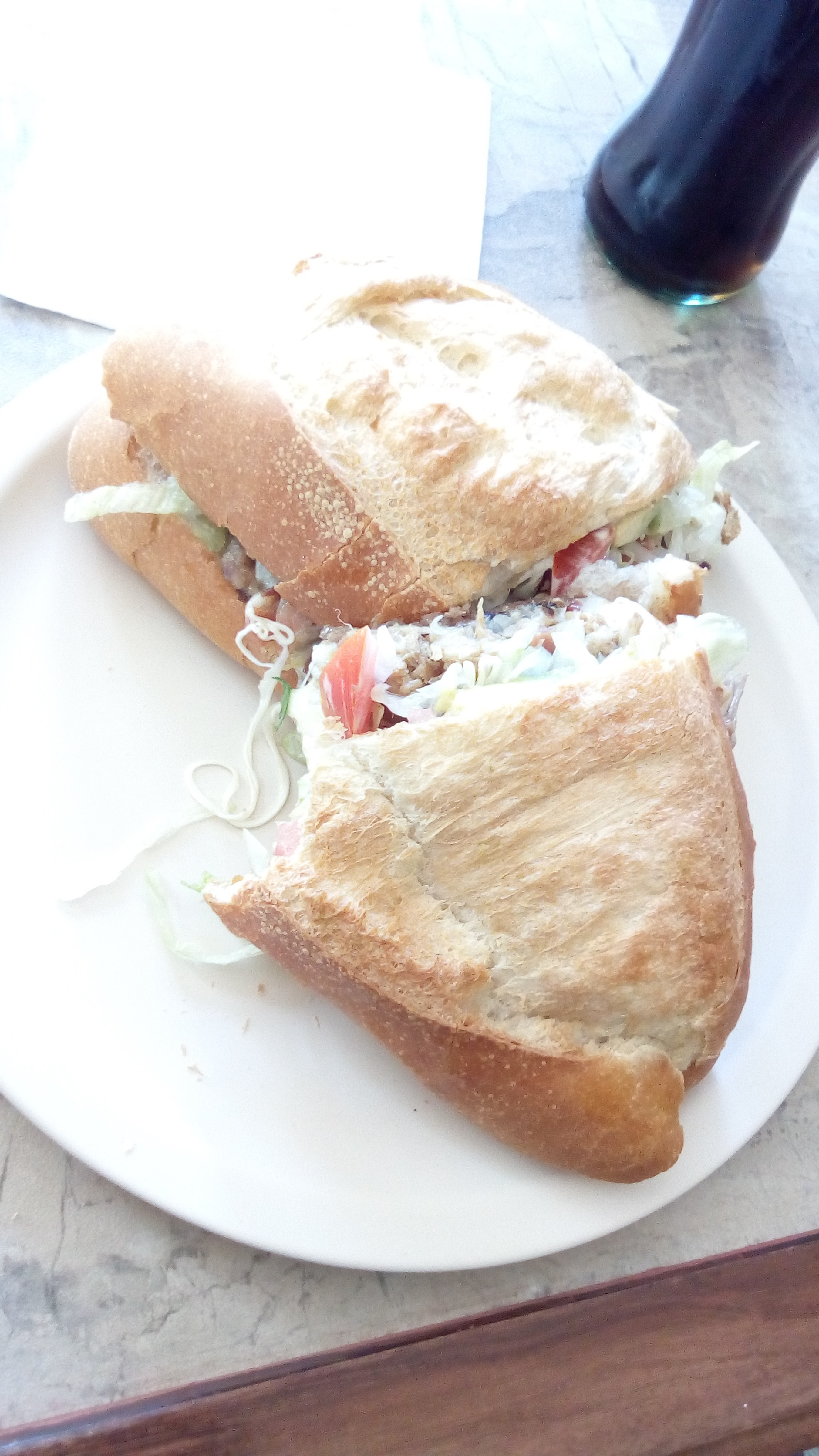 Las Tortugas De Xilitla image 8