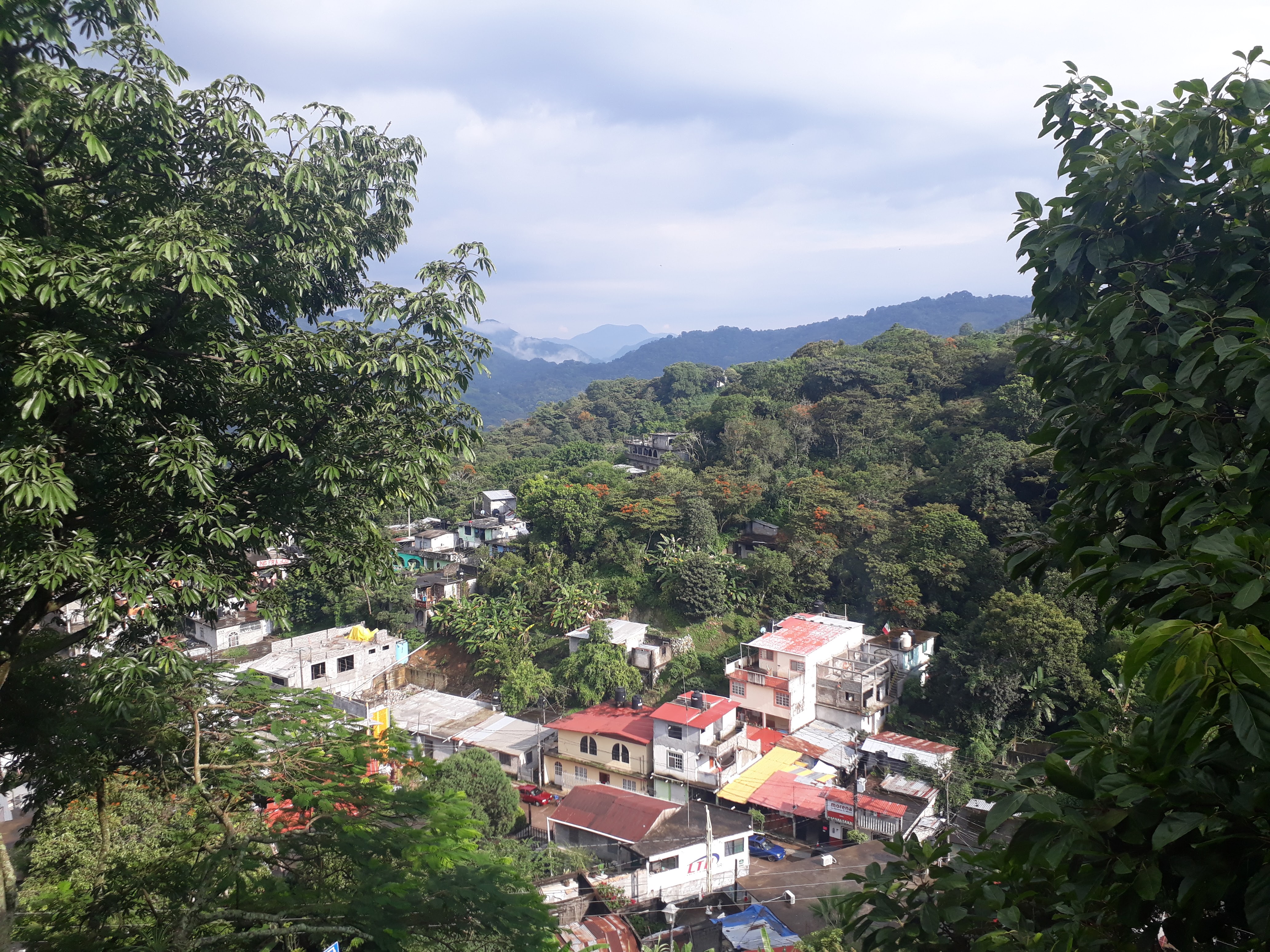 Las Tortugas De Xilitla image 9