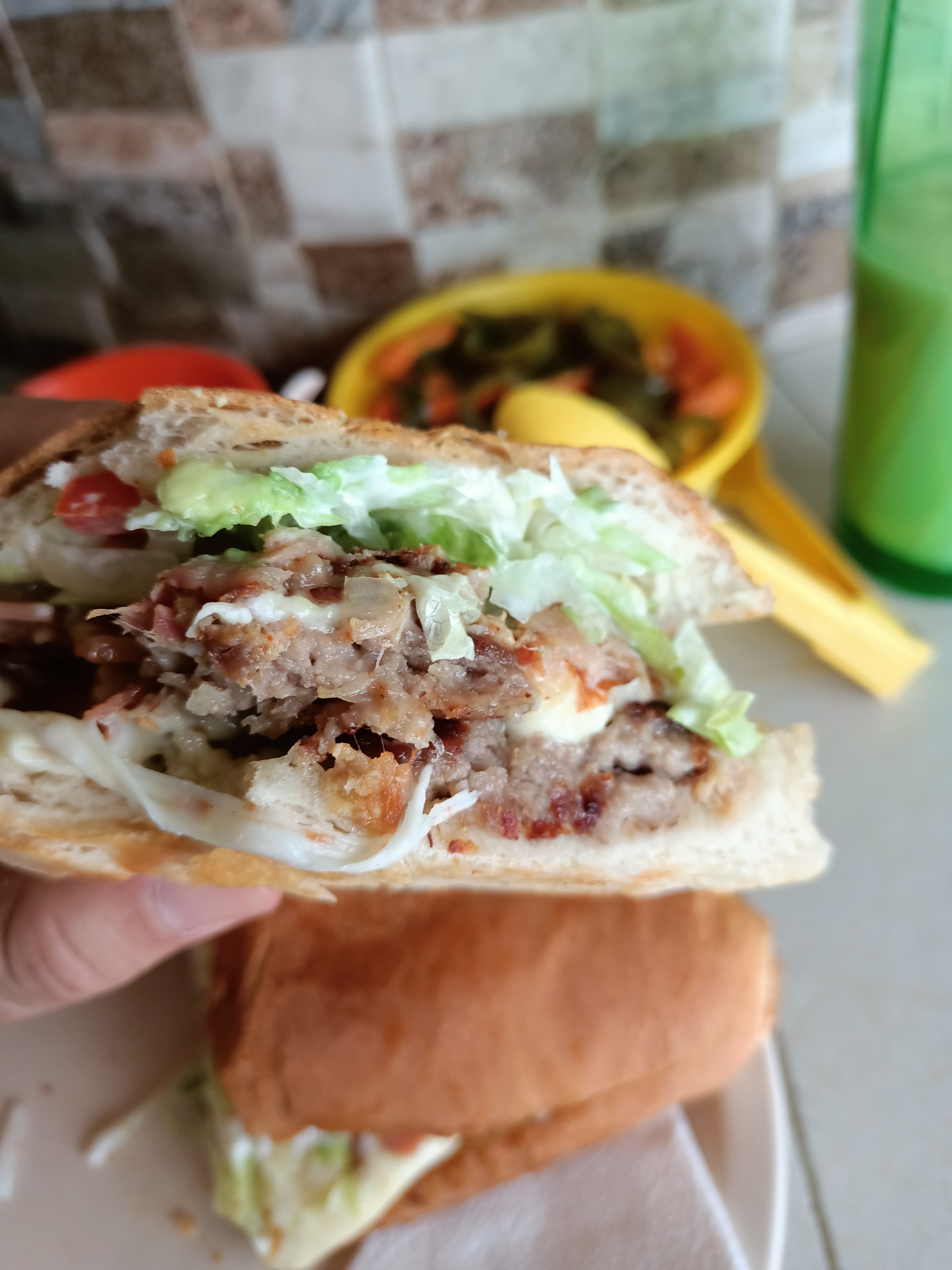 Las Tortugas De Xilitla image 10