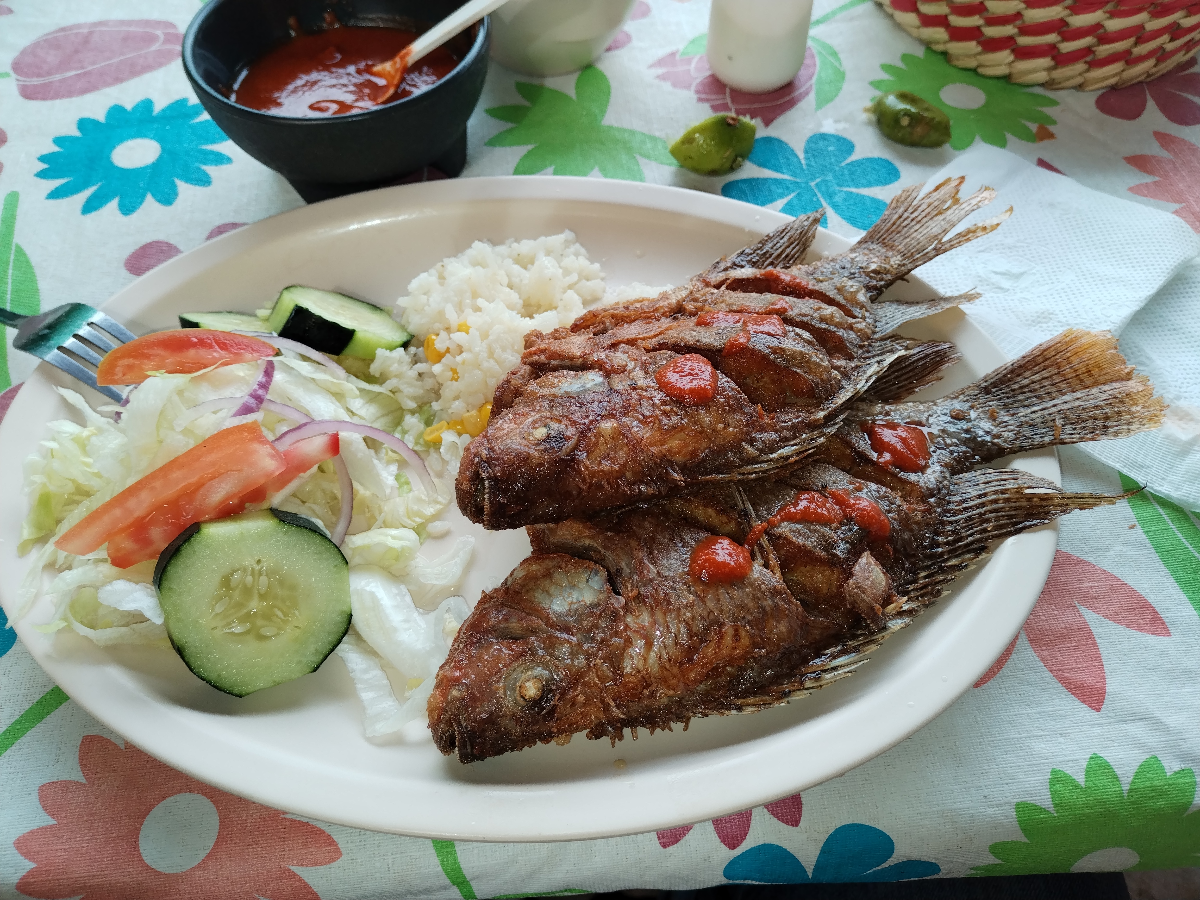 Granja Lolita. MojarraTilapias image 1