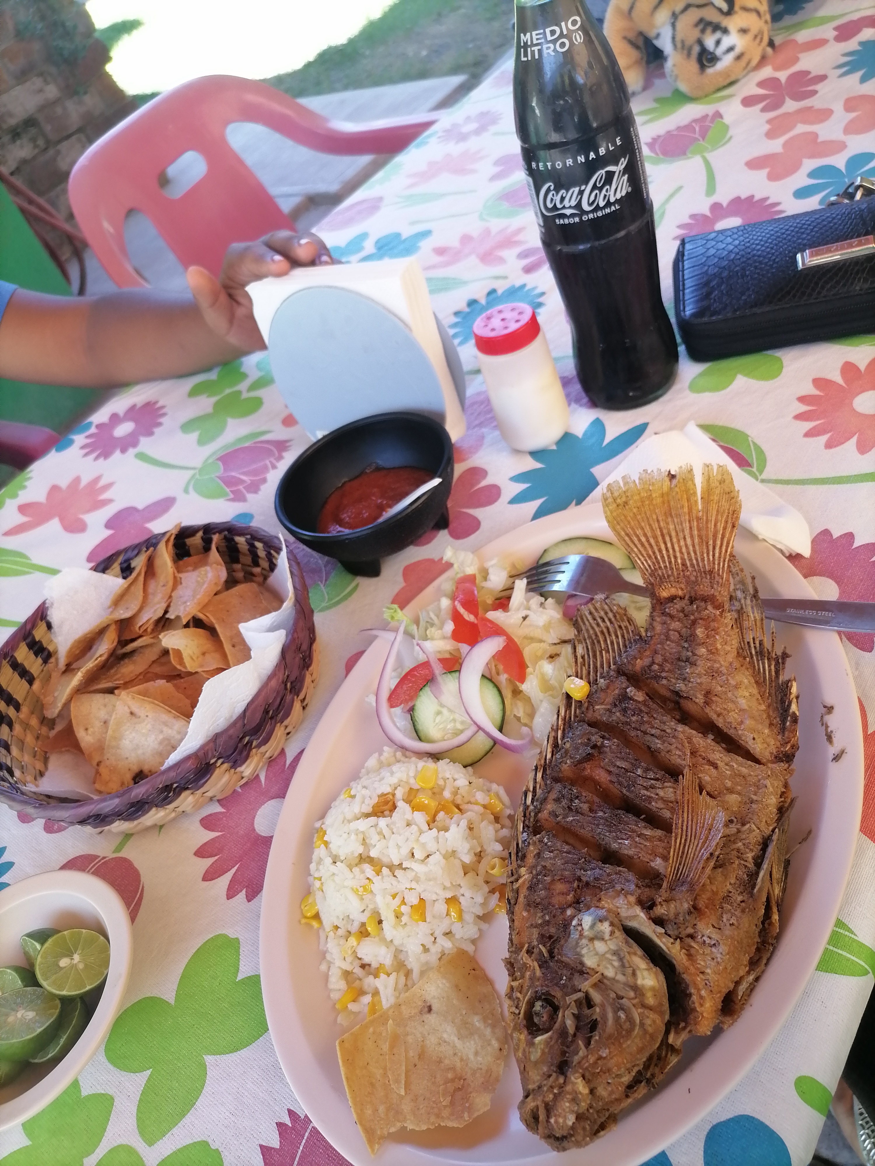 Granja Lolita. MojarraTilapias image 2