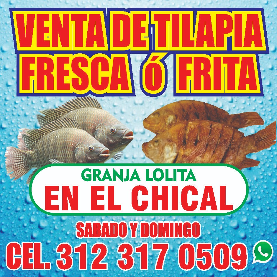 Granja Lolita. MojarraTilapias image 3