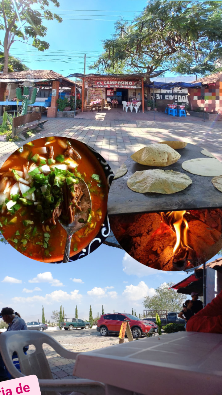 Tacos El CAMPECINO image 3