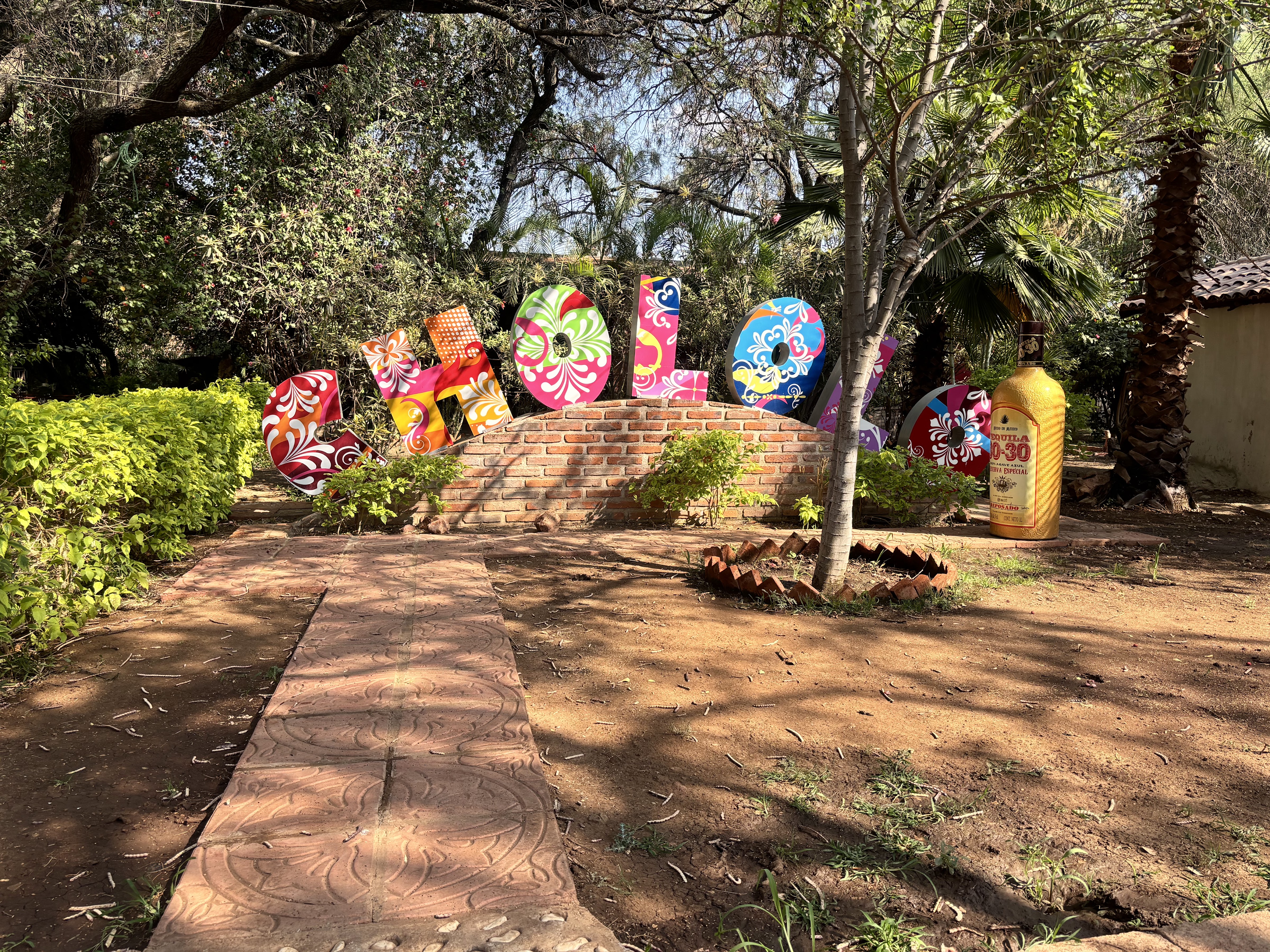 Birriería Chololo Campestre image 8