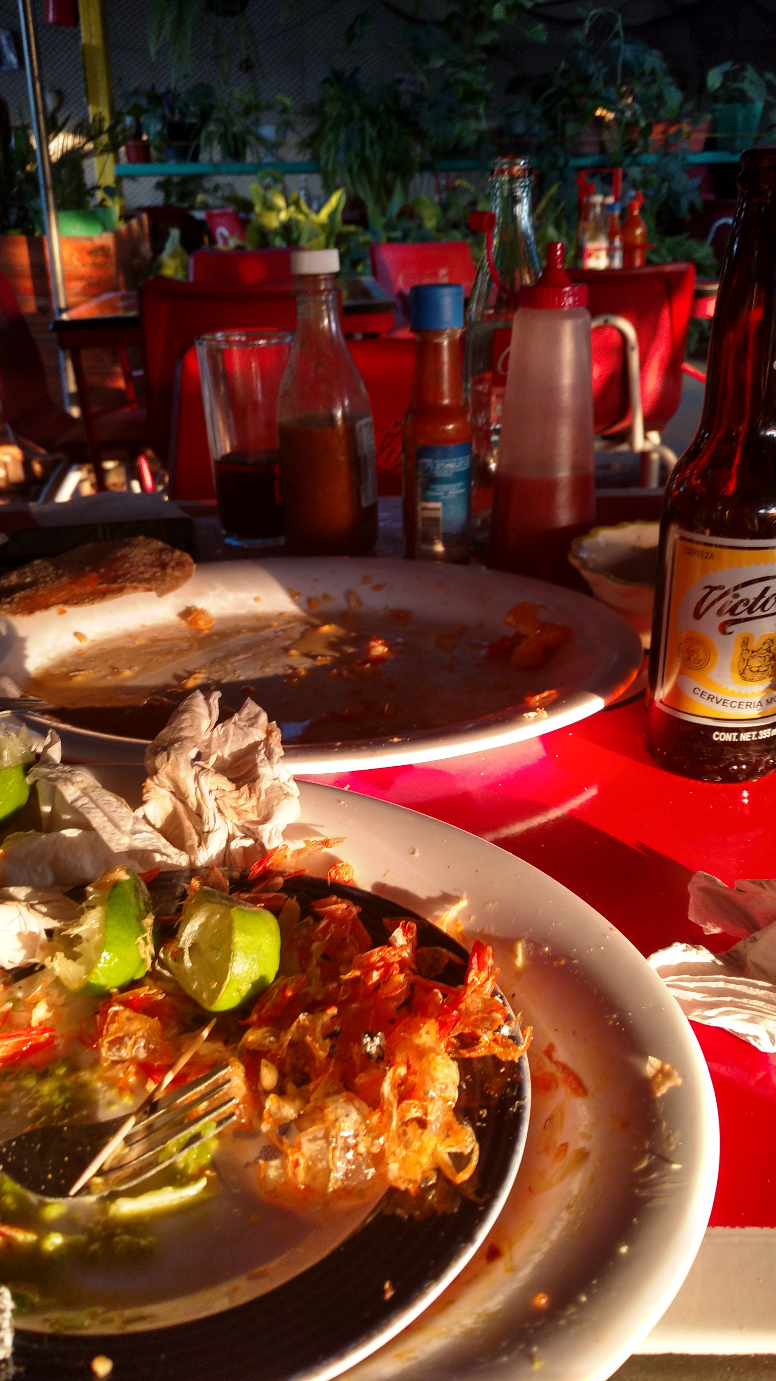 Restaurant Bellavista La Paz, B.C.S image 10