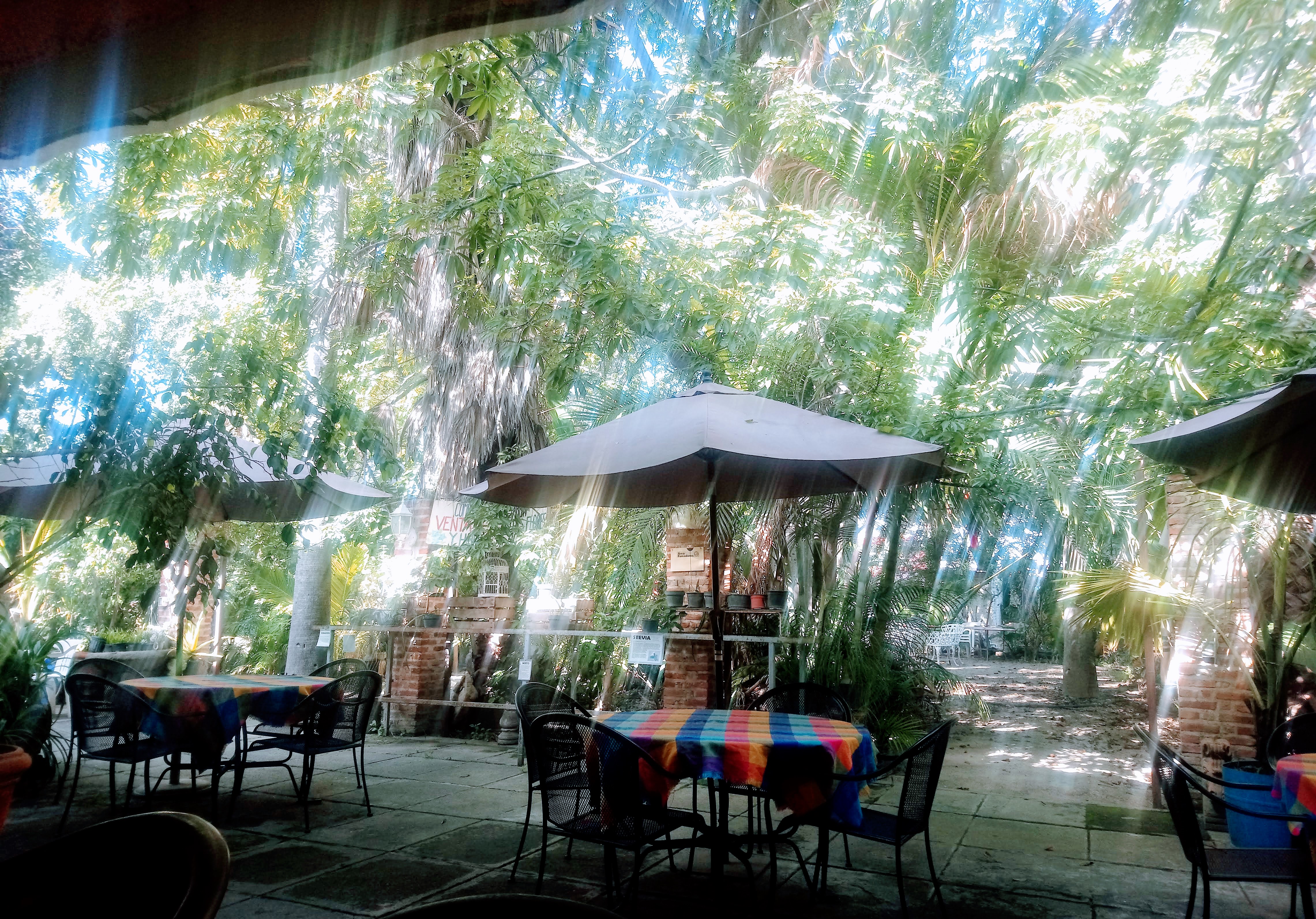 Maroma's fish image 1