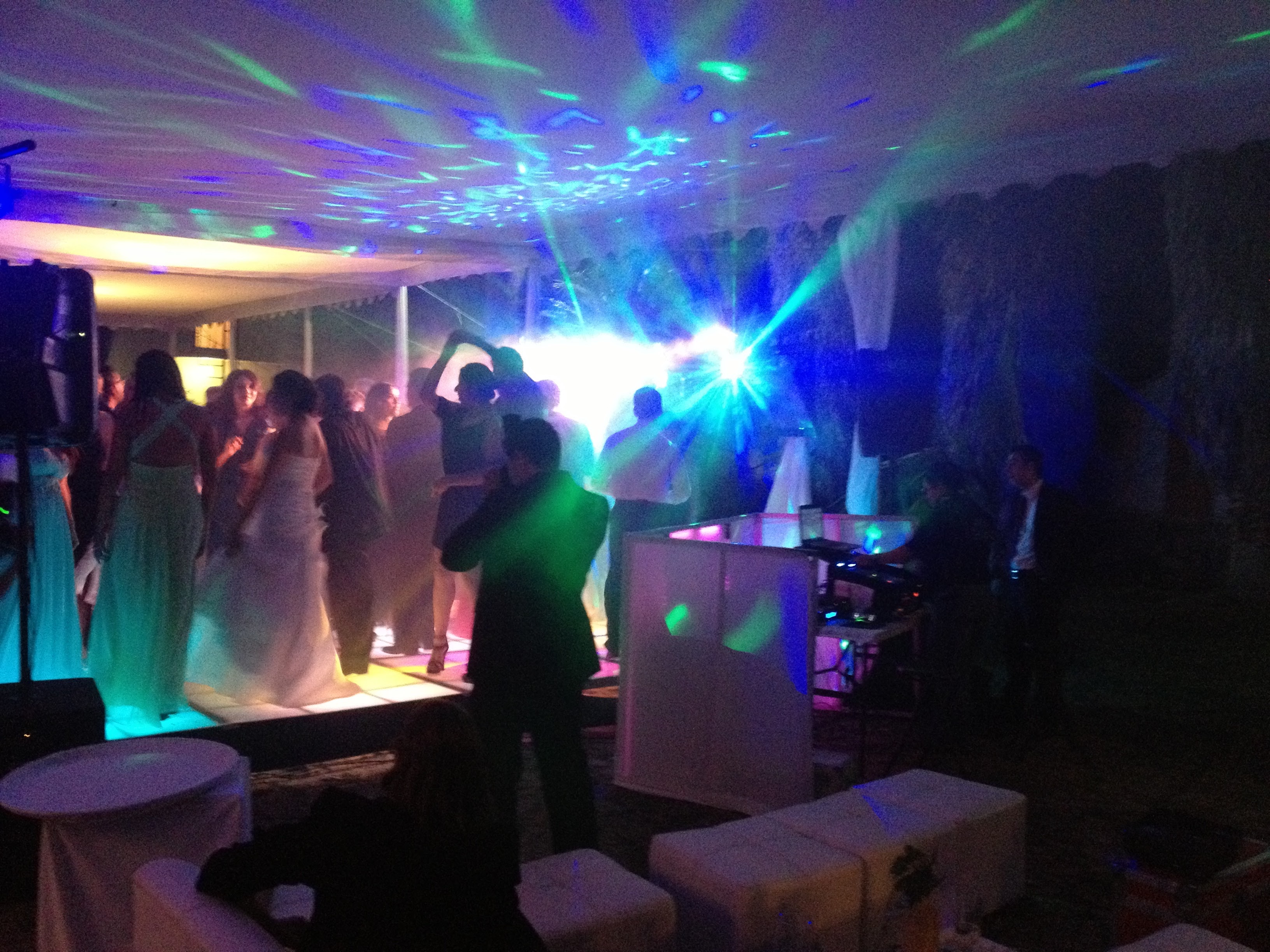 Maroma's fish image 5