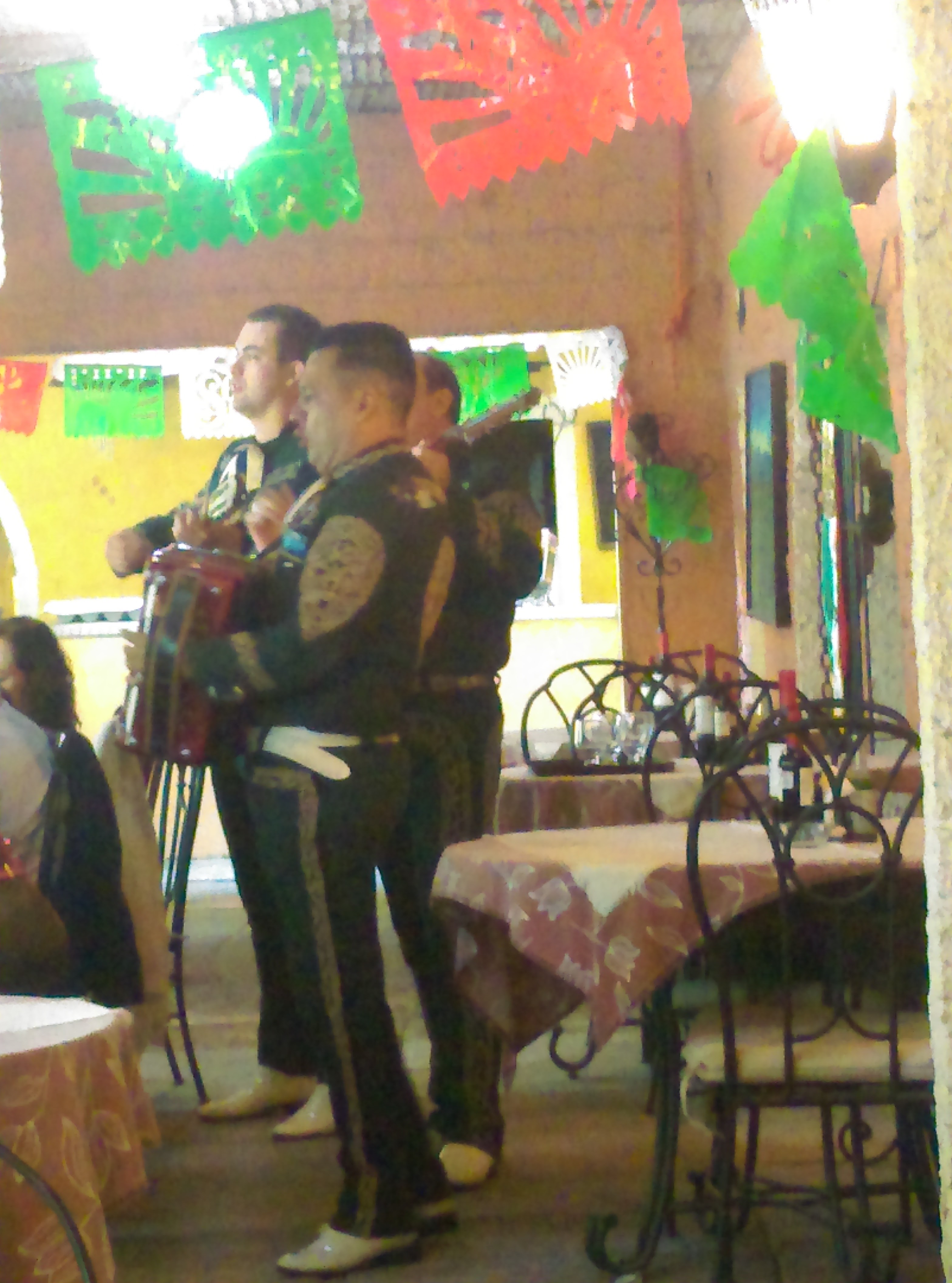 Maroma's fish image 9