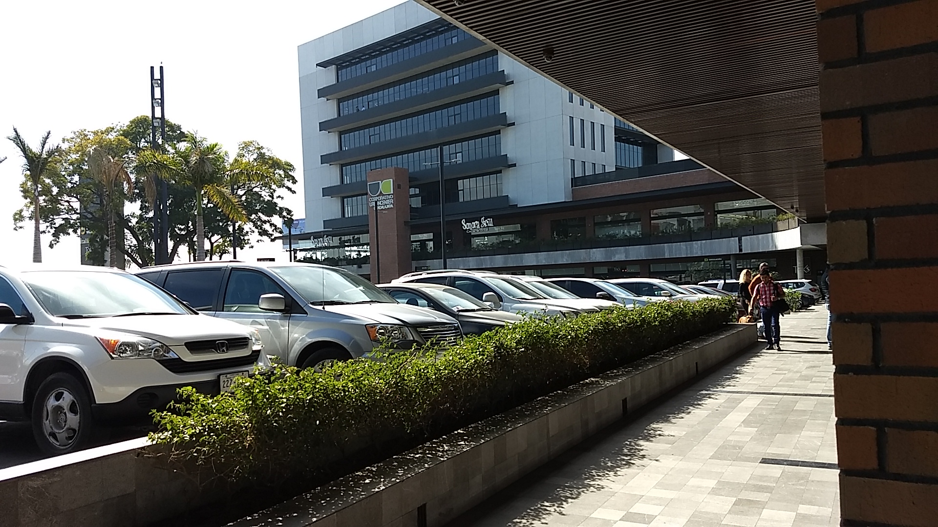 Sushi Roll Urban Center image 6