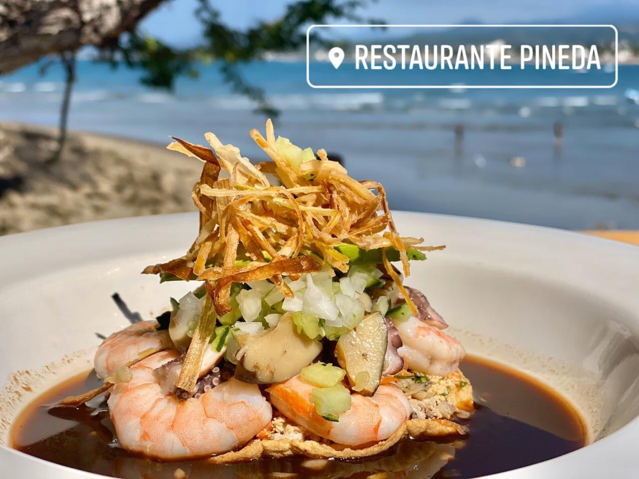 Restaurante Pineda image 2