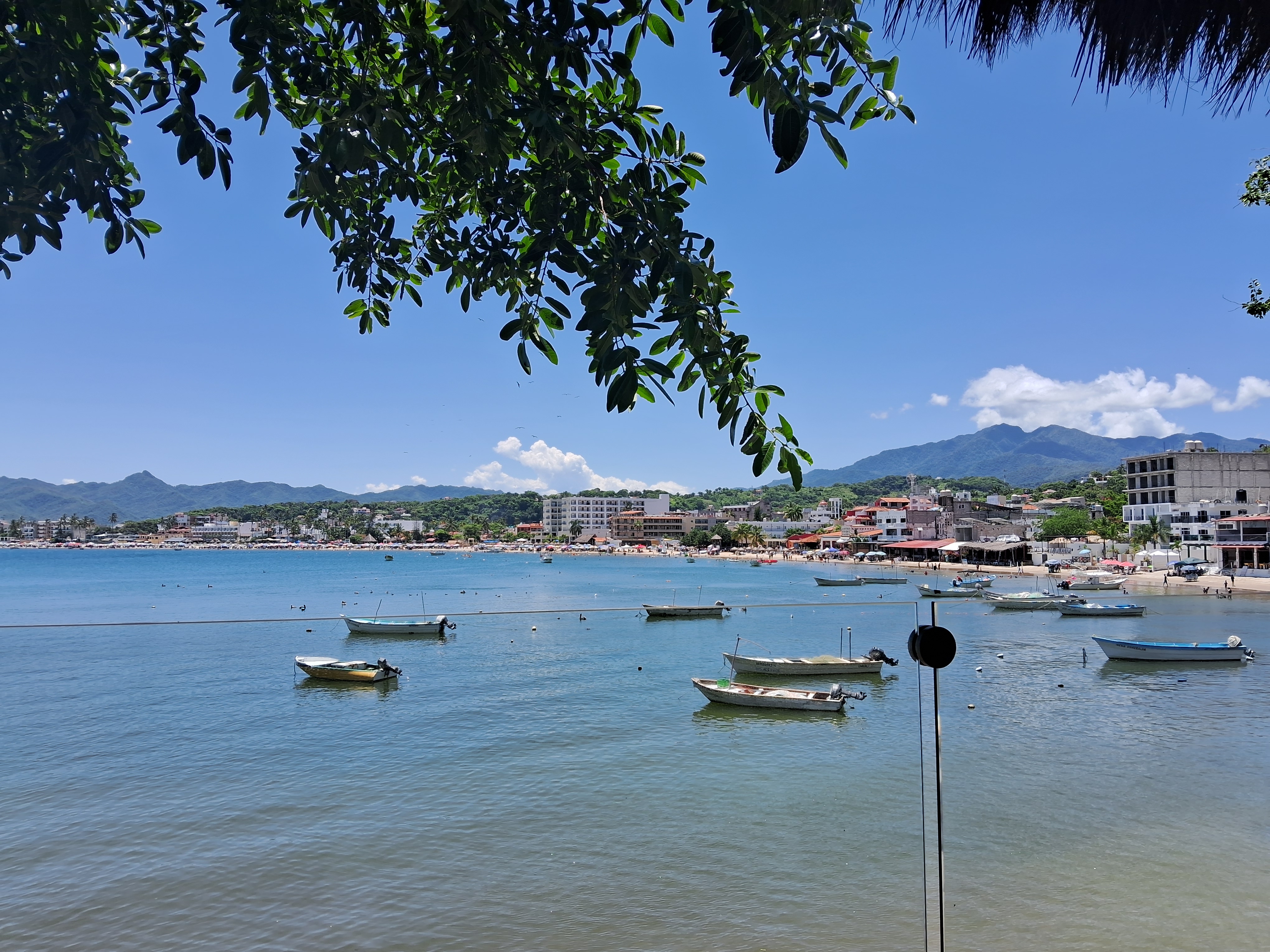 Restaurante Pineda image 6