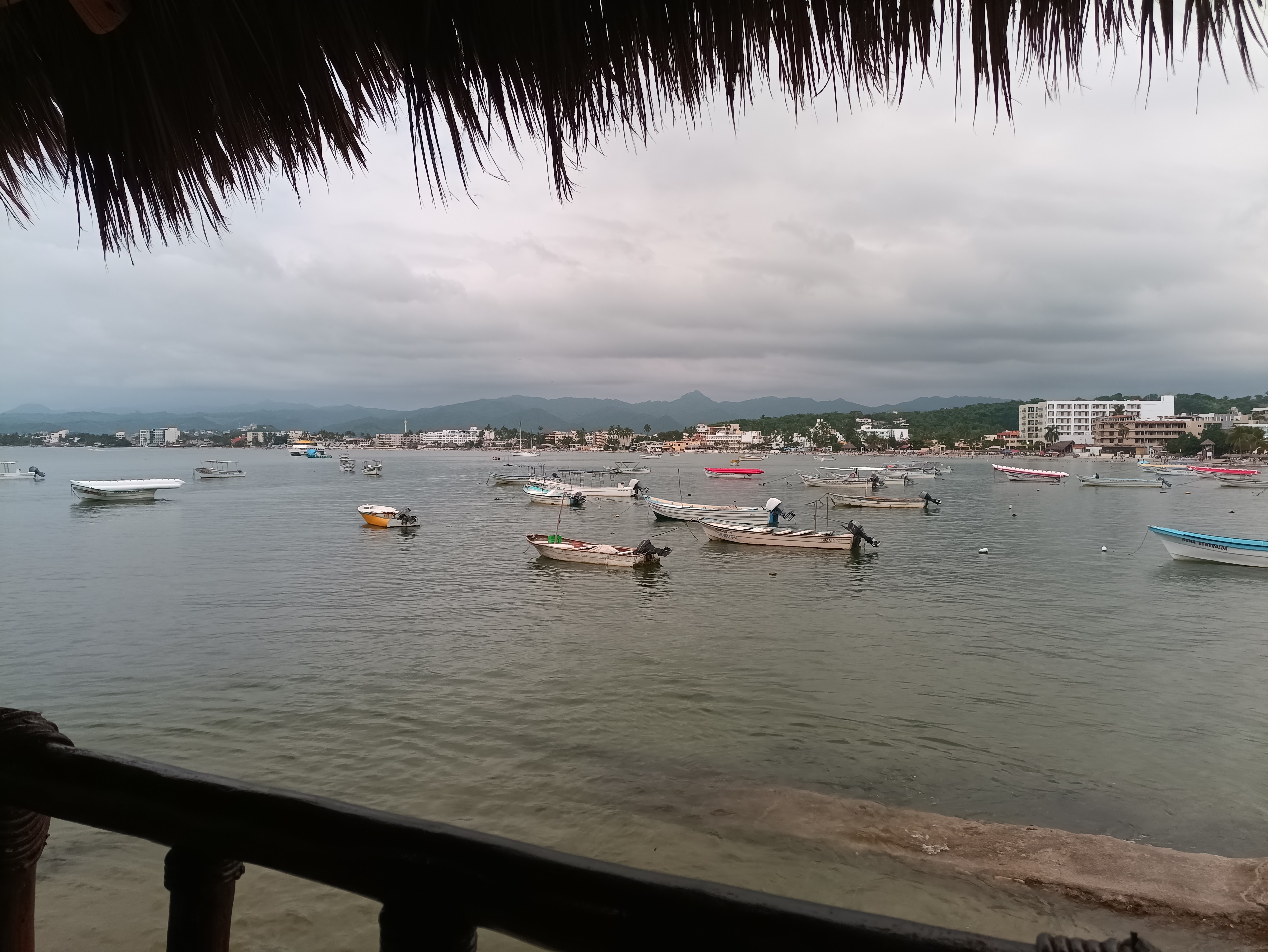 Restaurante Pineda image 7